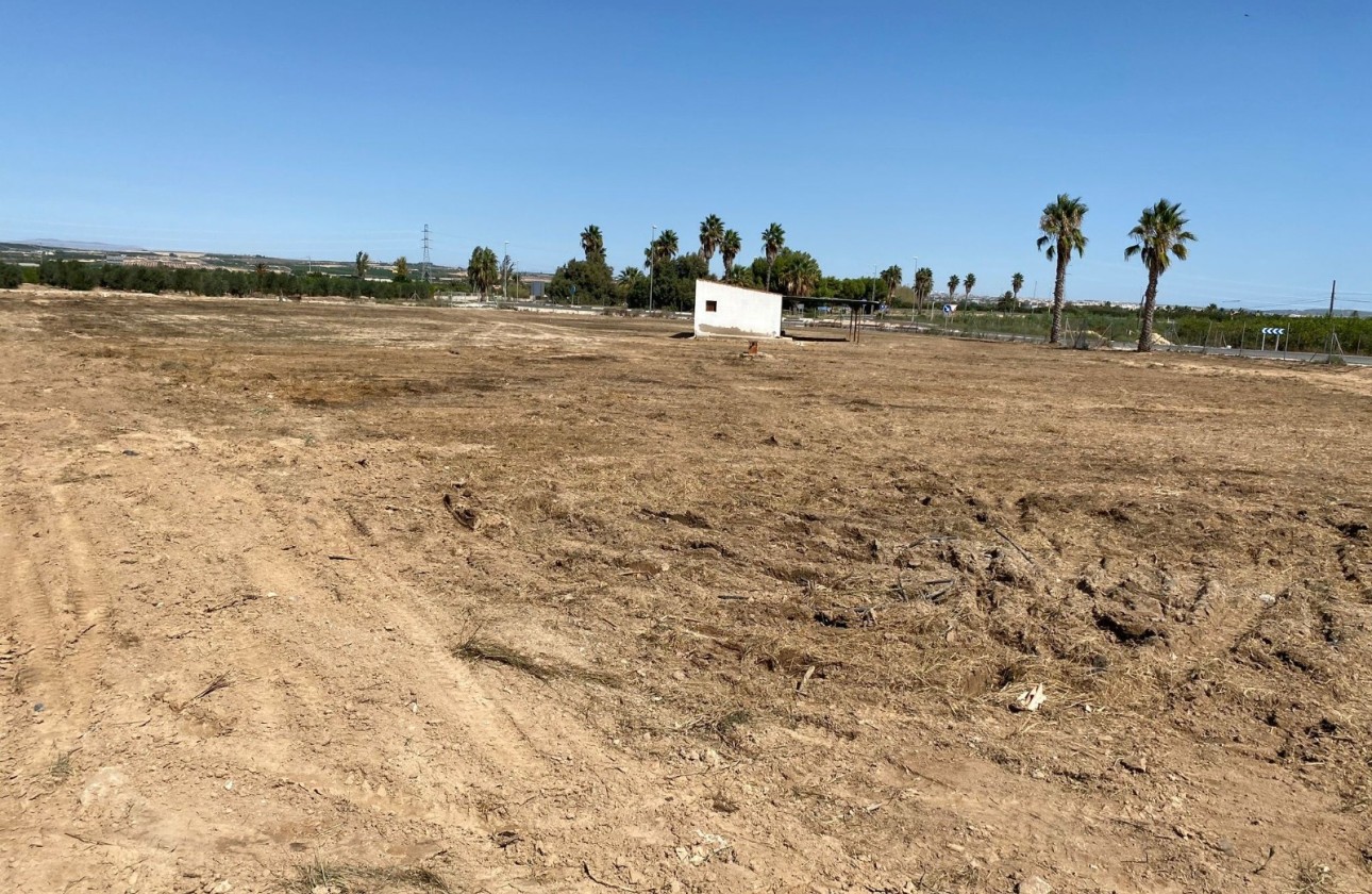 Herverkoop - Perceel / Grond -
San Miguel de Salinas - San Miguel Salinas