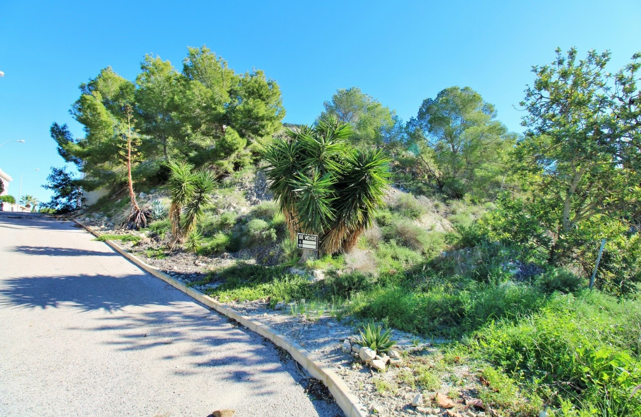 Herverkoop - Perceel Grond -
San Miguel de Salinas