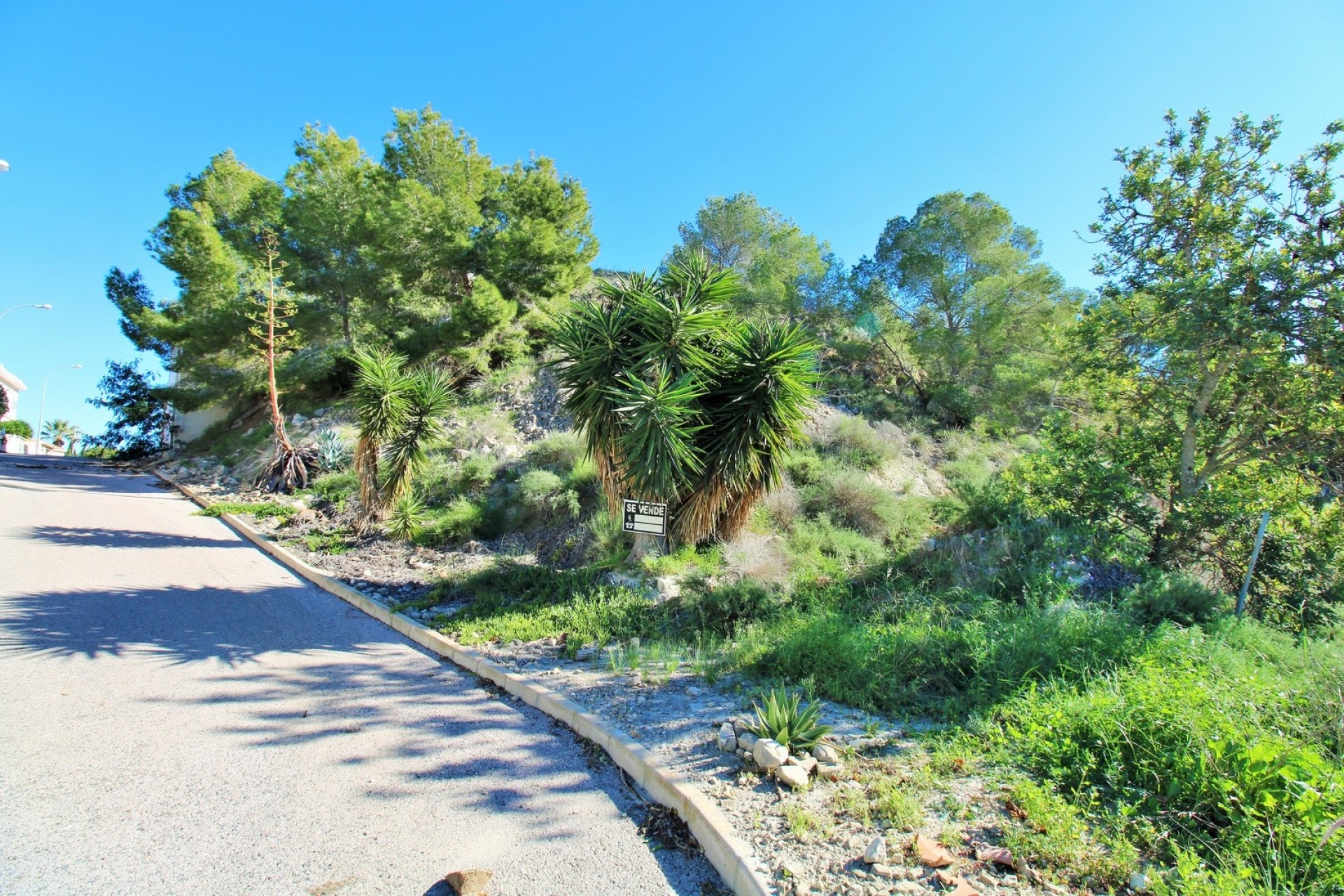 Herverkoop - Perceel Grond -
San Miguel de Salinas