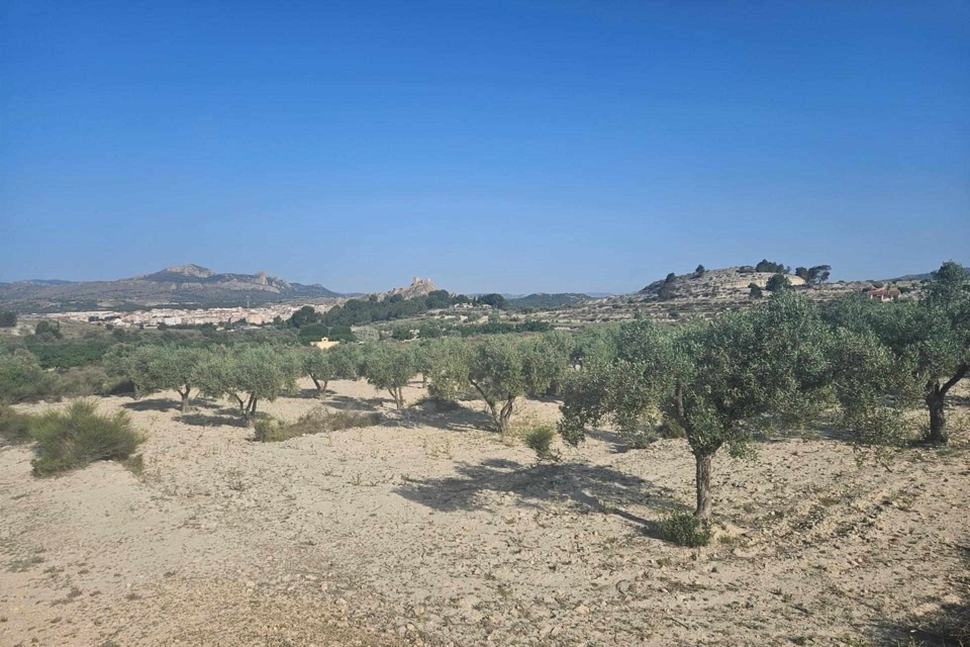 Herverkoop - Perceel / Grond -
SAX