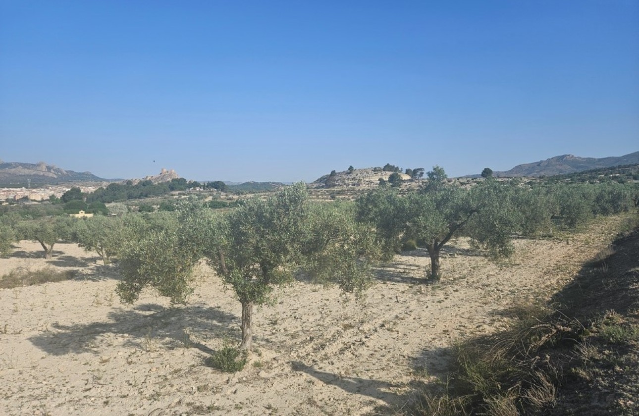 Herverkoop - Perceel / Grond -
SAX