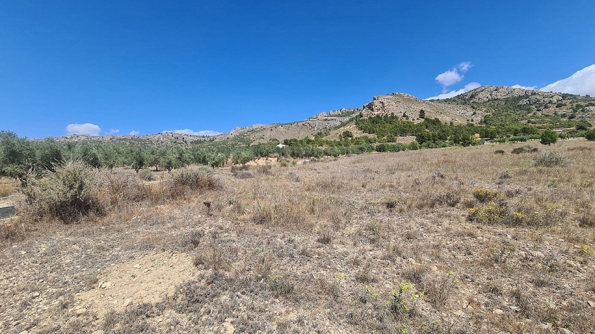 Herverkoop - Perceel Grond -
SAX