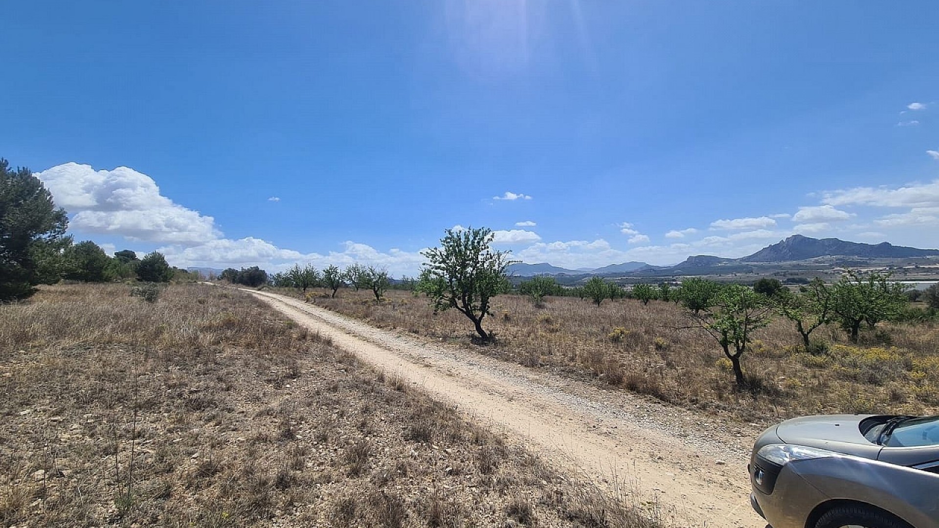 Herverkoop - Perceel Grond -
SAX