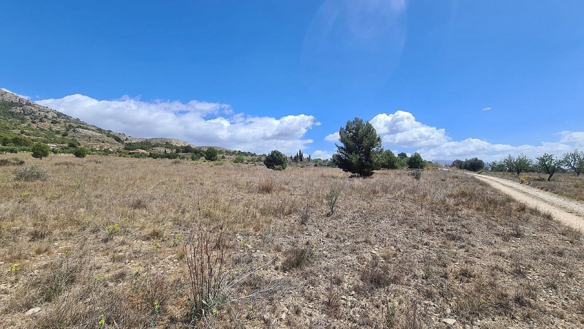 Herverkoop - Perceel Grond -
SAX