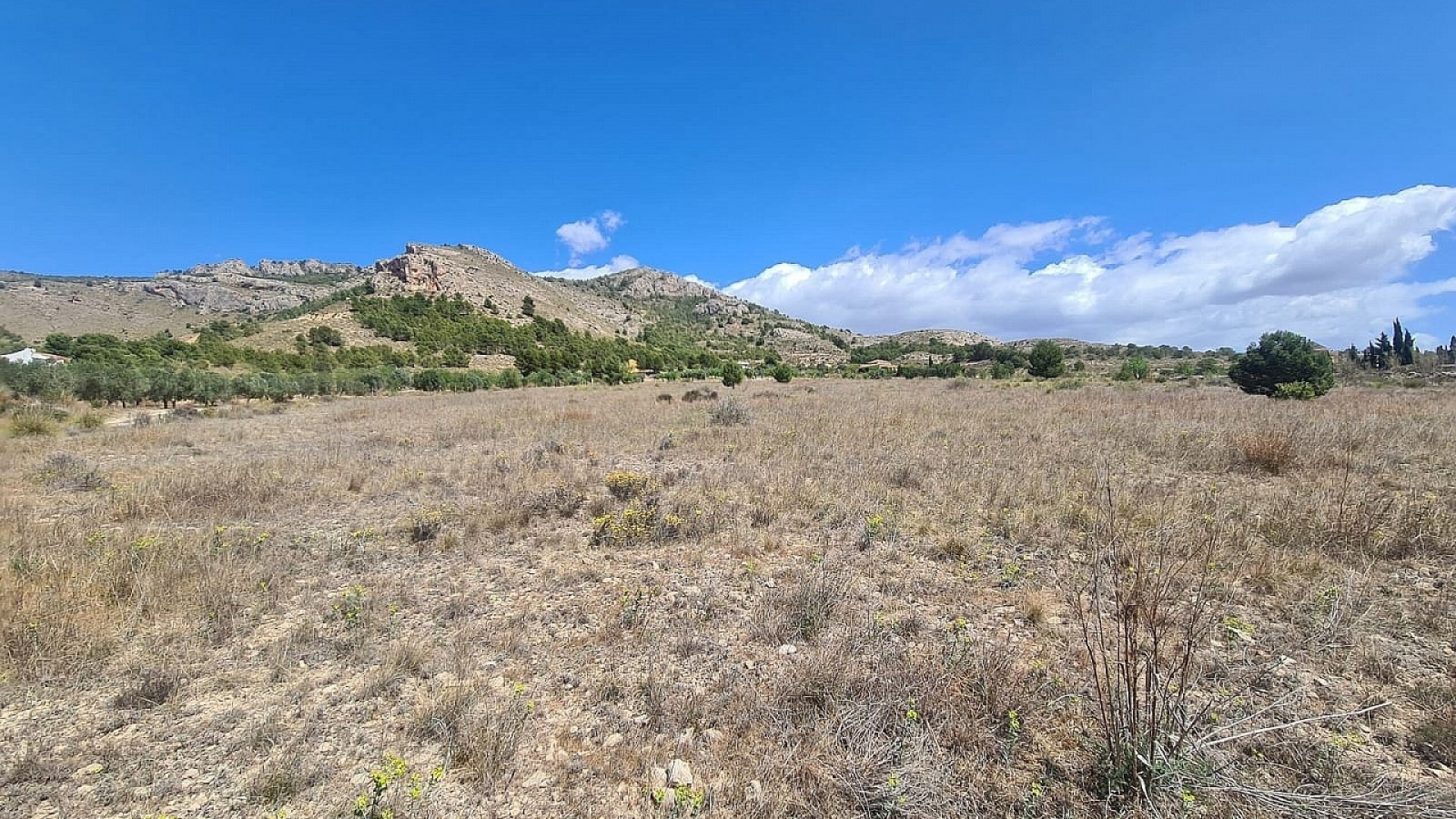 Herverkoop - Perceel Grond -
SAX