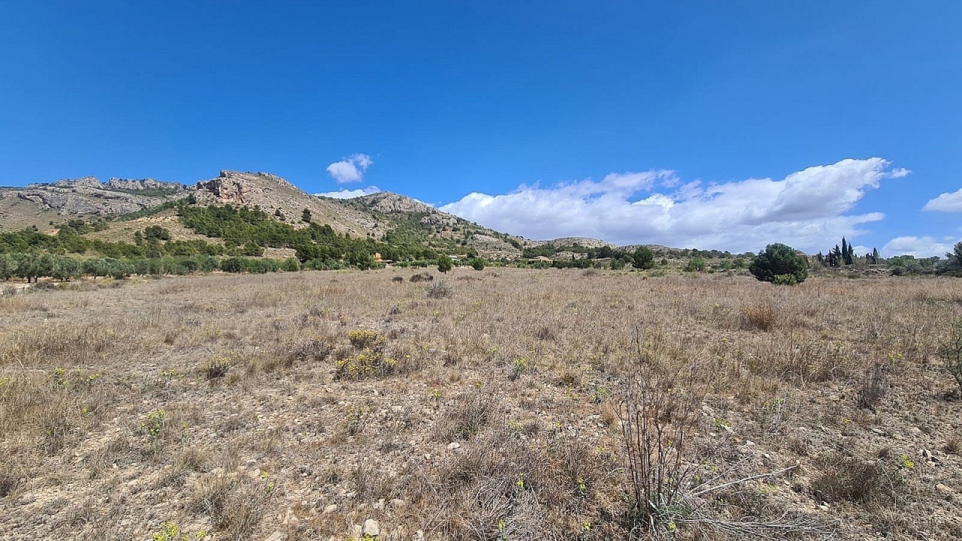 Herverkoop - Perceel Grond -
SAX