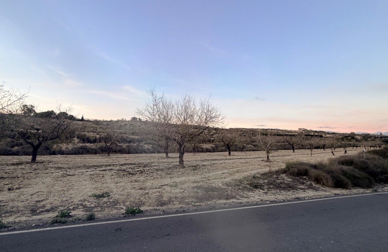 Herverkoop - Perceel / Grond -
Torremendo - Costa Blanca