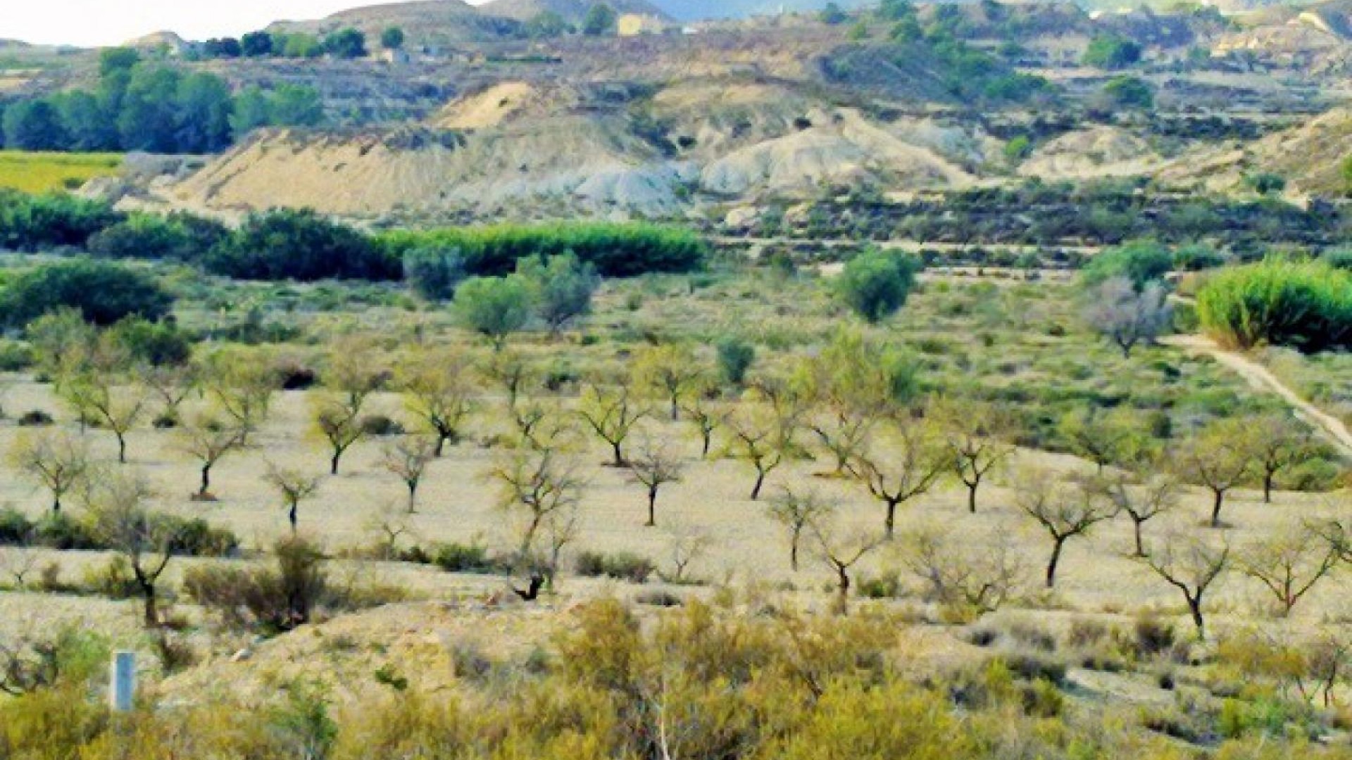 Herverkoop - Perceel Grond -
Torremendo