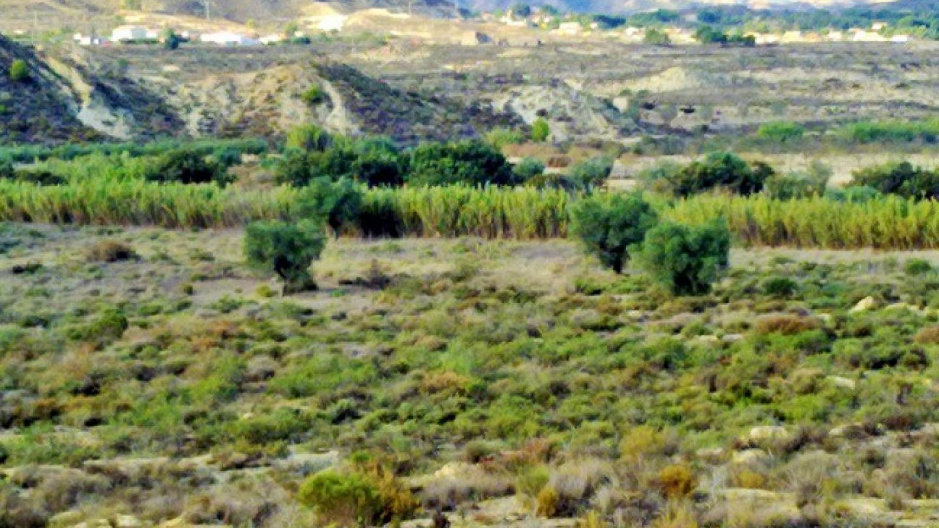 Herverkoop - Perceel Grond -
Torremendo