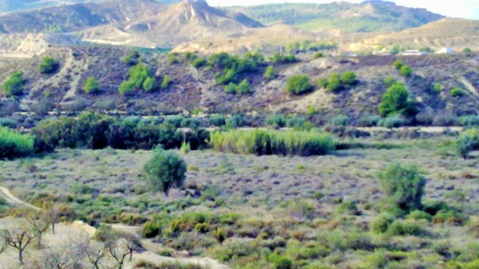 Herverkoop - Perceel Grond -
Torremendo