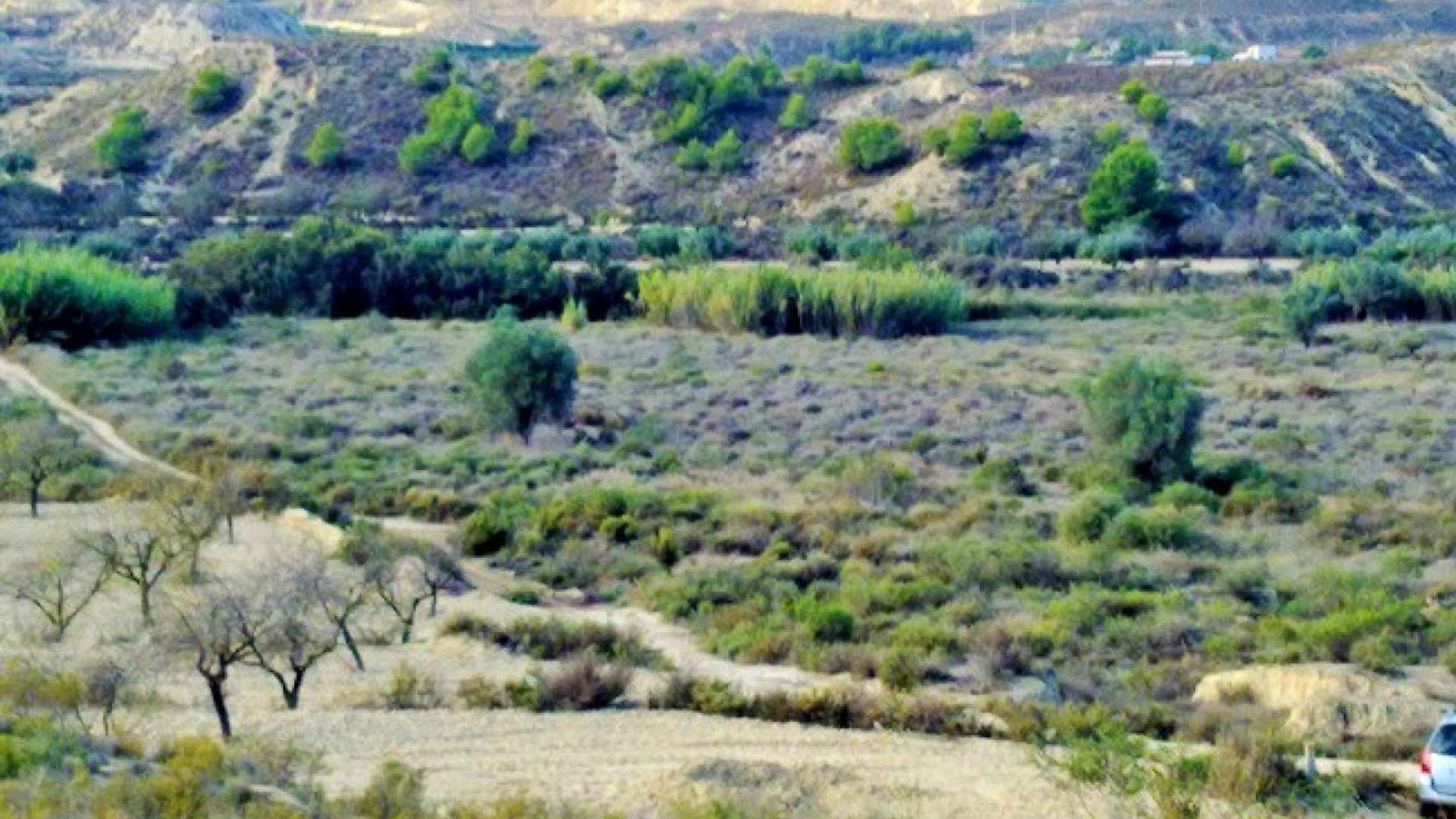 Herverkoop - Perceel Grond -
Torremendo