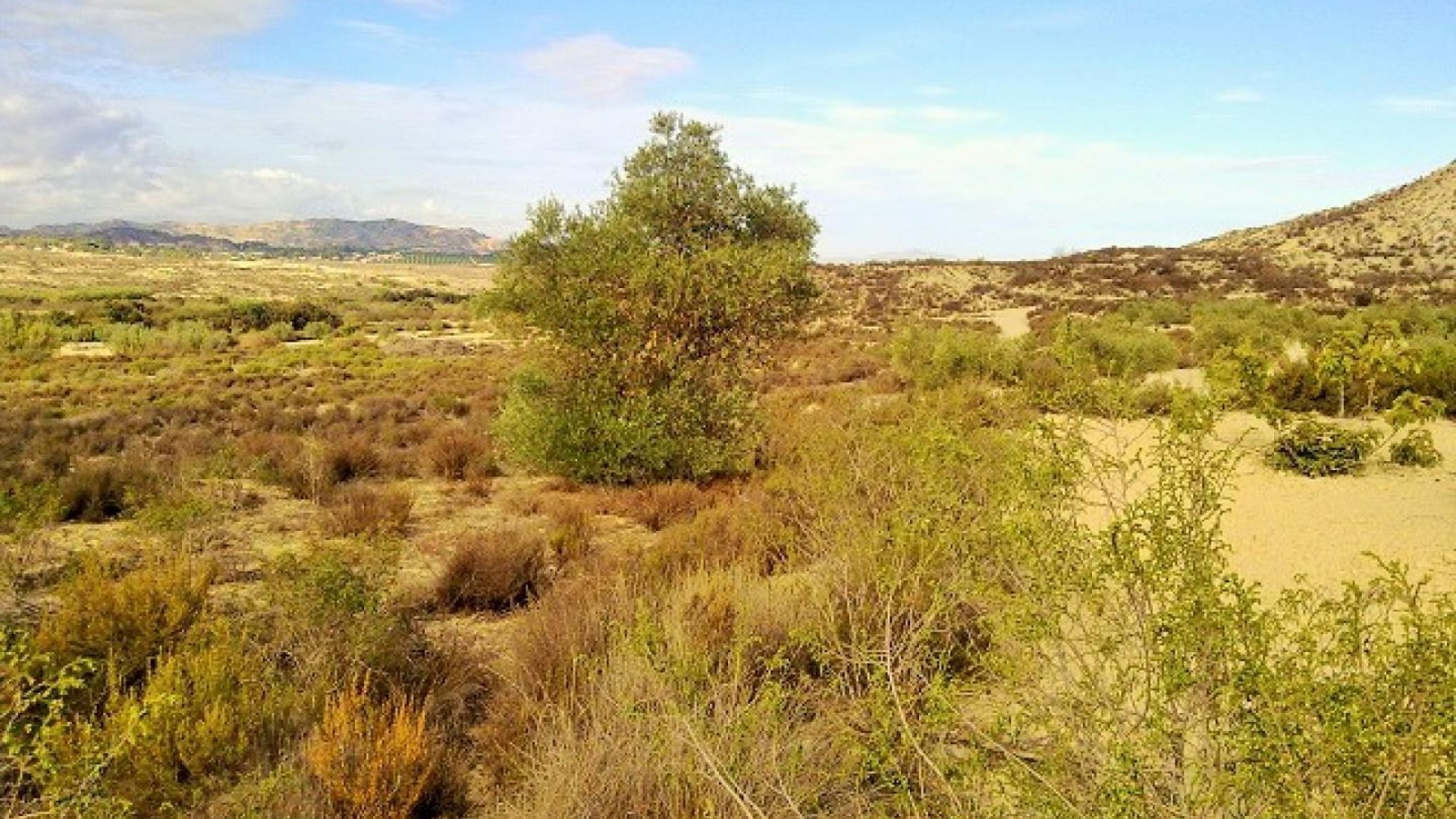 Herverkoop - Perceel Grond -
Torremendo