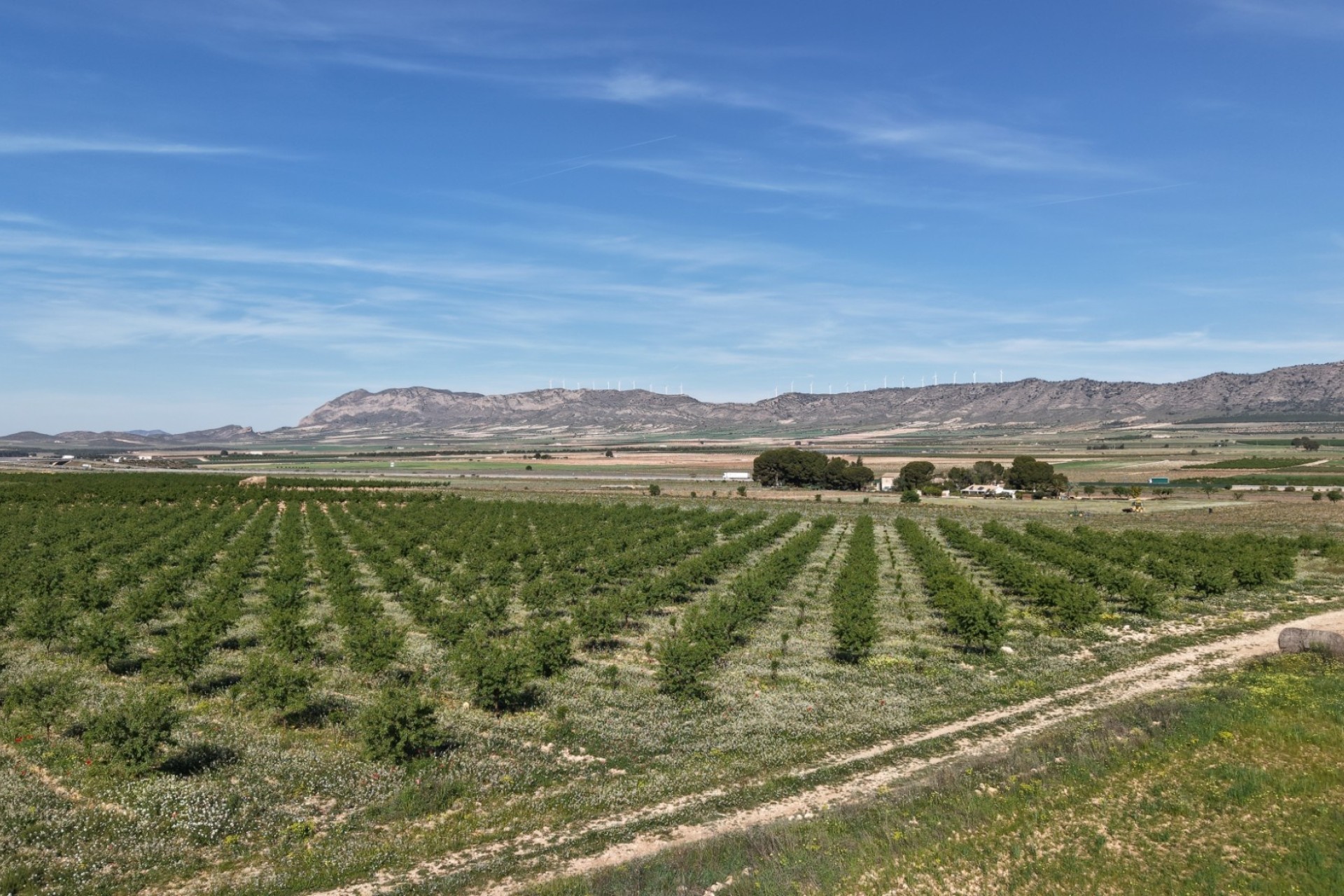 Herverkoop - Perceel / Grond -
Yecla - Yecla Murcia