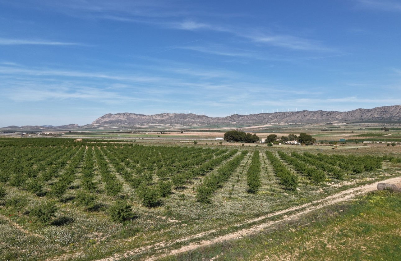 Herverkoop - Perceel / Grond -
Yecla - Yecla Murcia