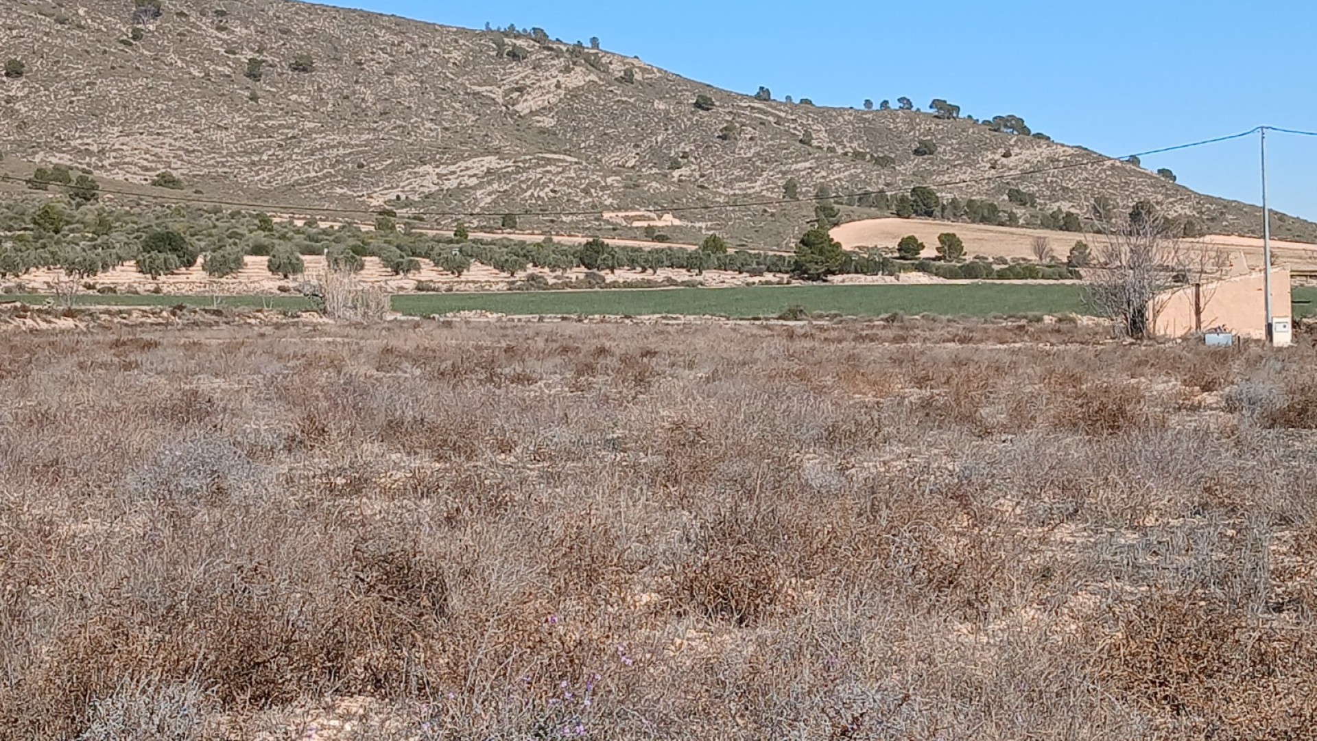 Herverkoop - Perceel Grond -
Yecla