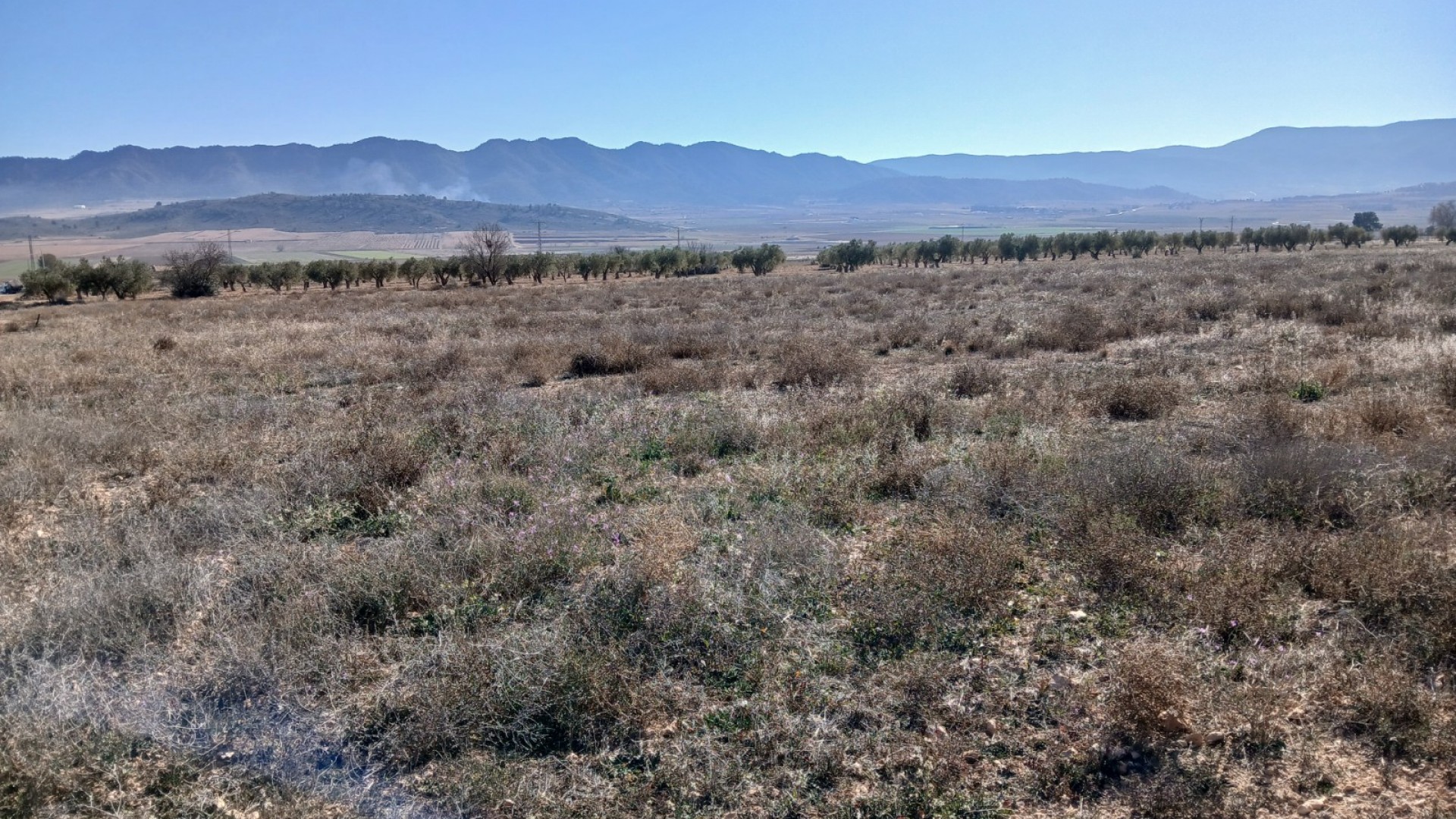 Herverkoop - Perceel Grond -
Yecla