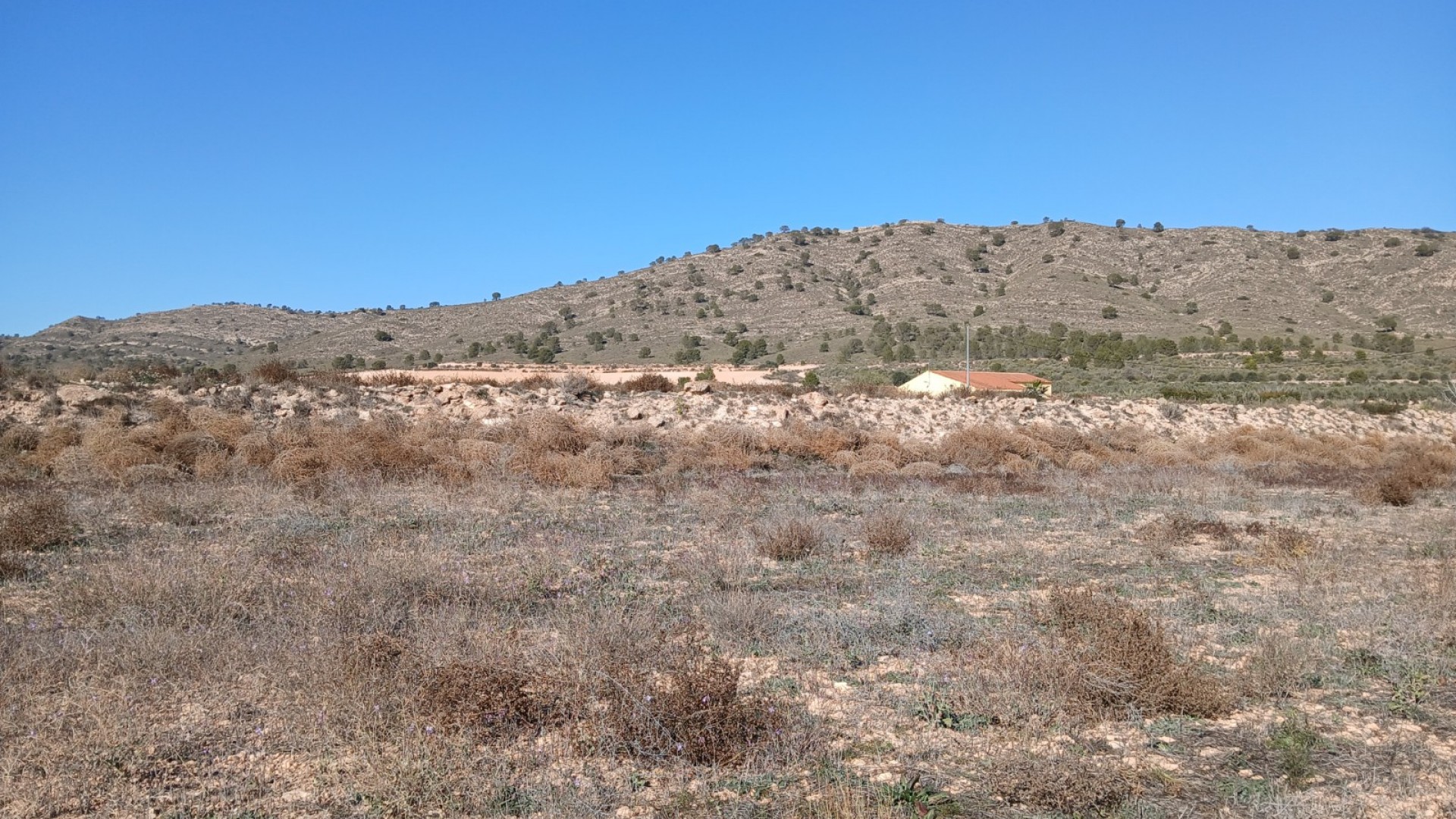 Herverkoop - Perceel Grond -
Yecla