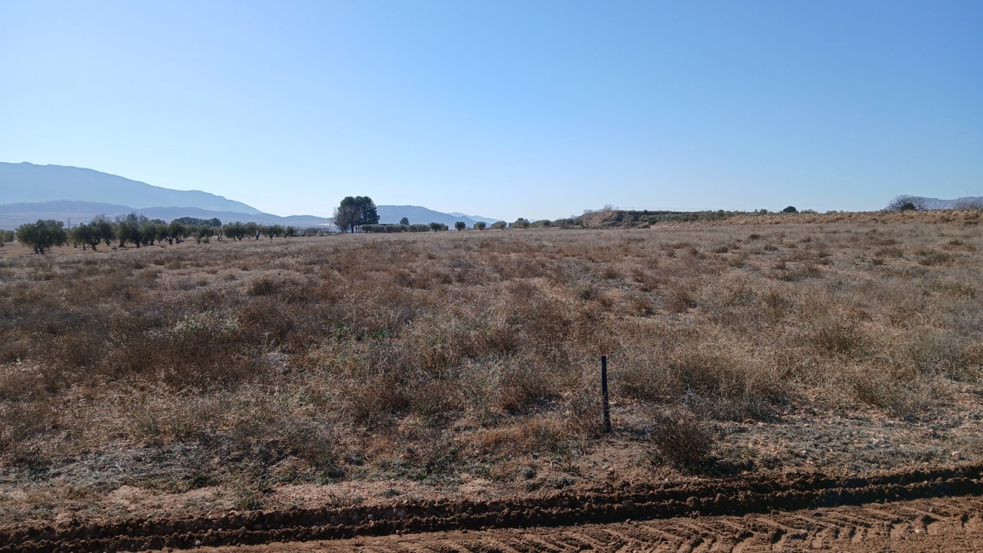 Herverkoop - Perceel Grond -
Yecla