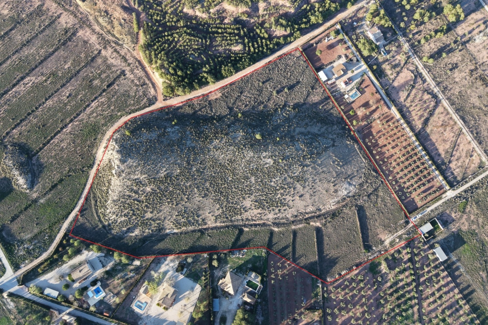 Herverkoop - Perceel Grond -
Yecla