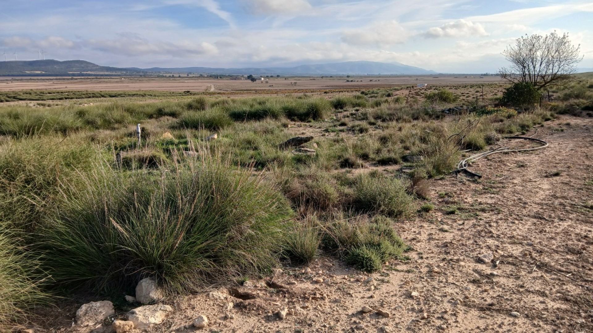 Herverkoop - Perceel Grond -
Yecla