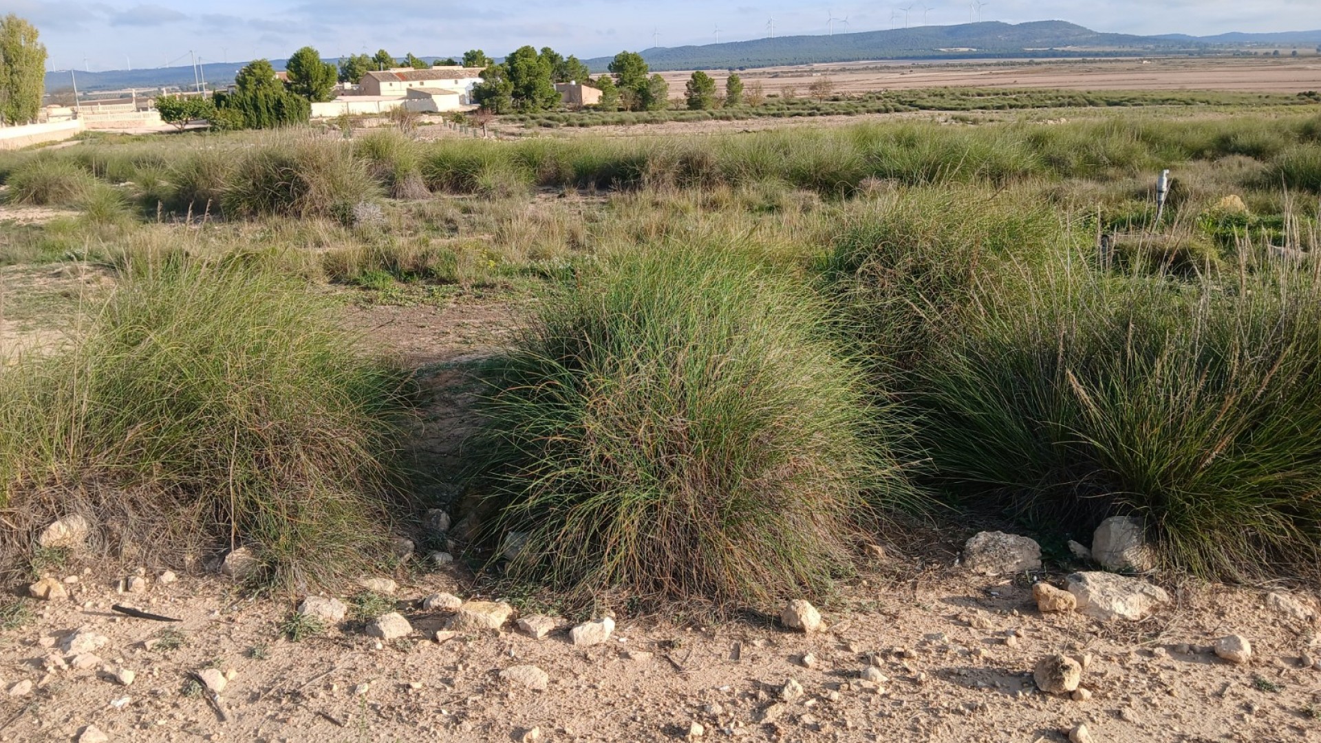 Herverkoop - Perceel Grond -
Yecla