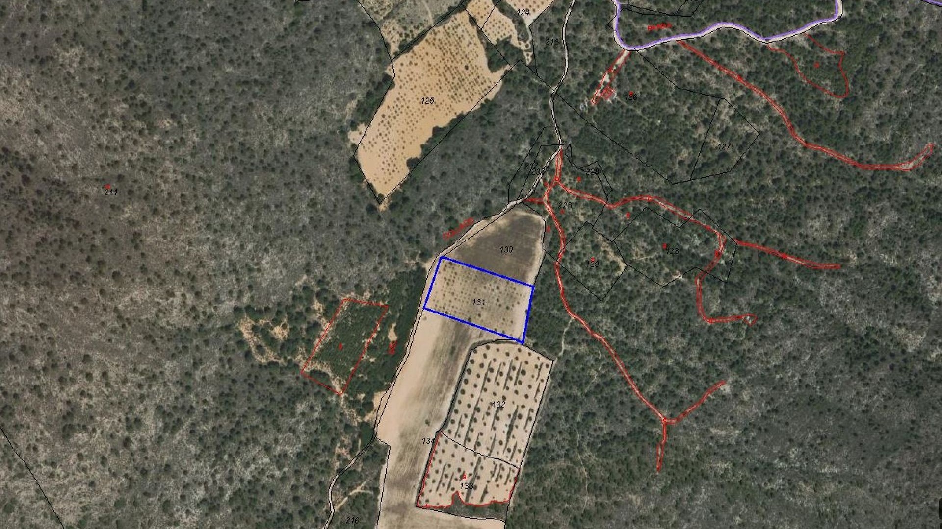 Herverkoop - Perceel Grond -
Yecla