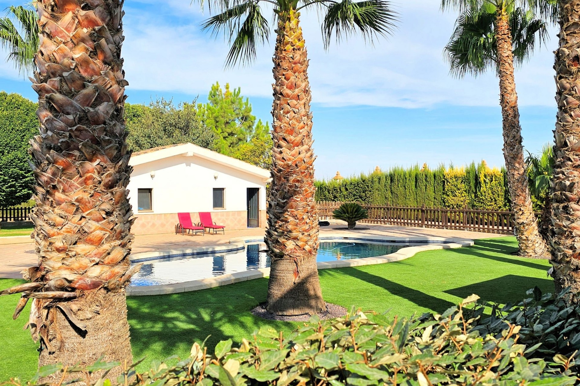 Herverkoop -  -
Pinoso