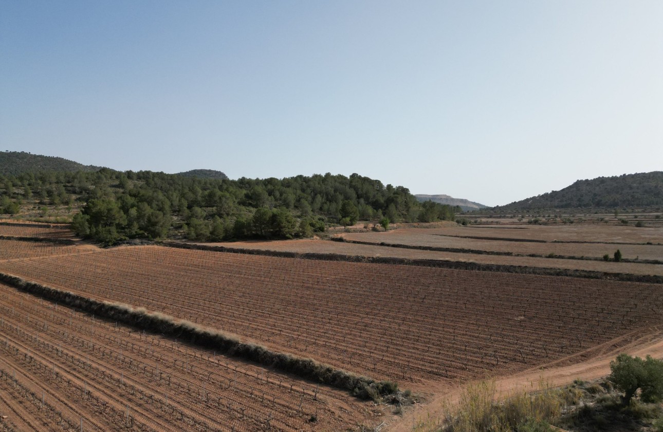 Herverkoop -  -
Pinoso