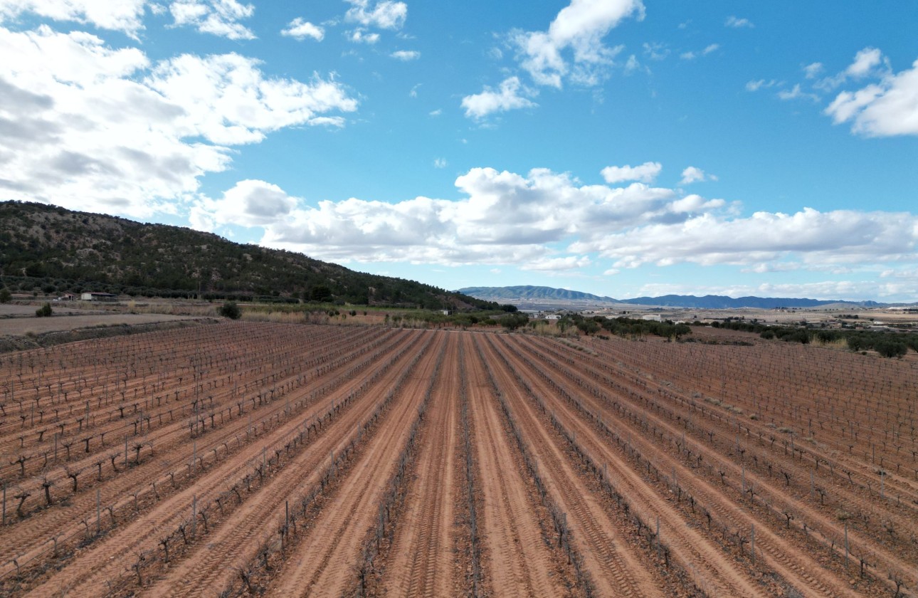 Herverkoop -  -
Pinoso