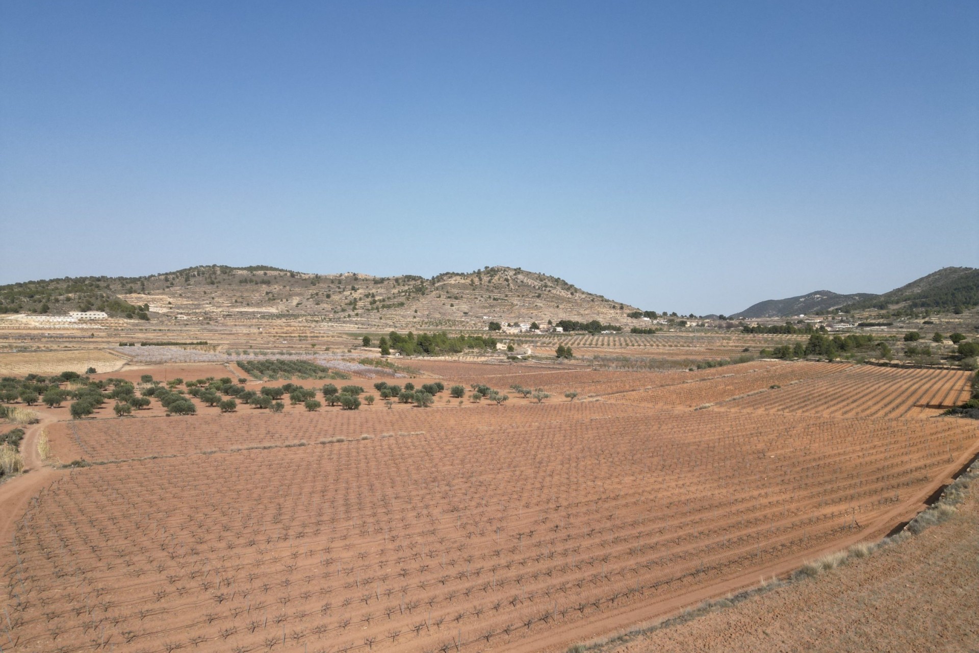 Herverkoop -  -
Pinoso