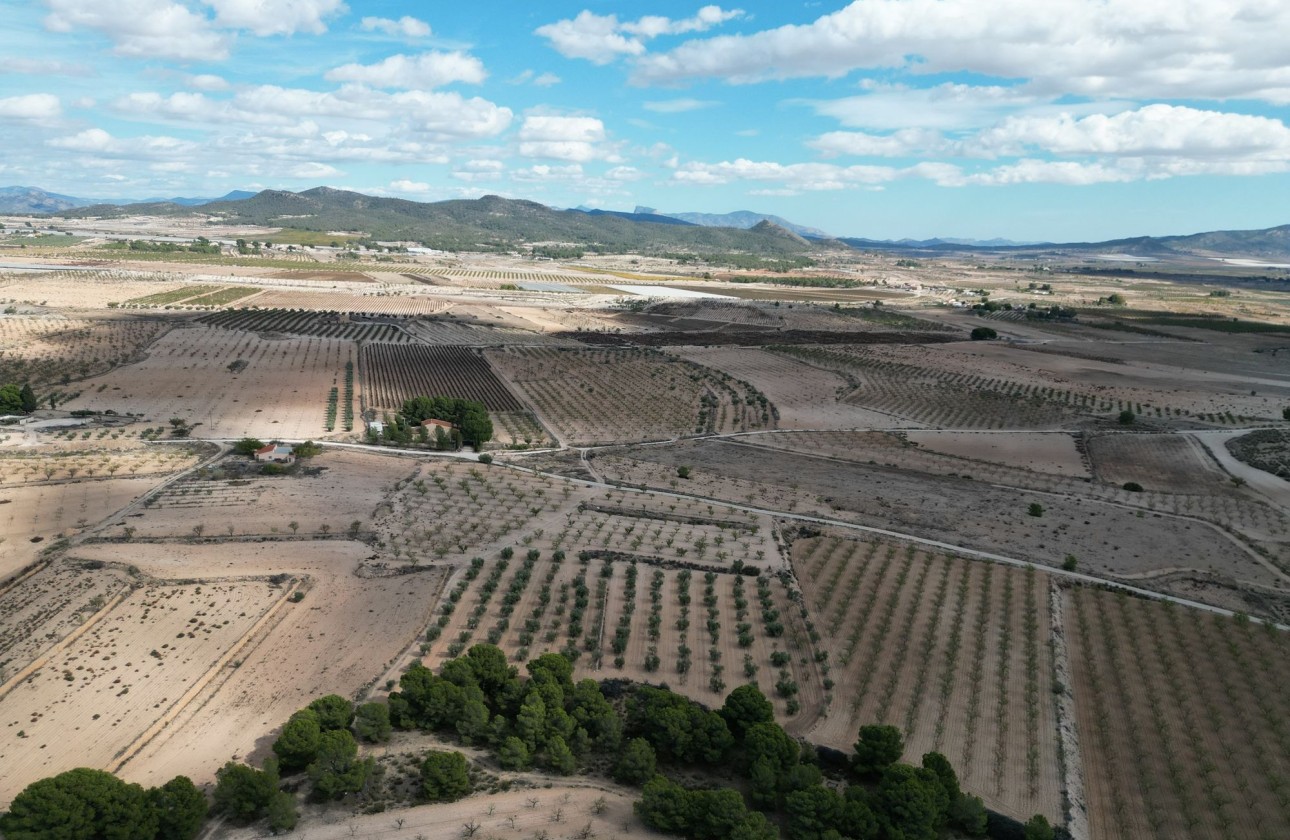 Herverkoop -  -
Pinoso