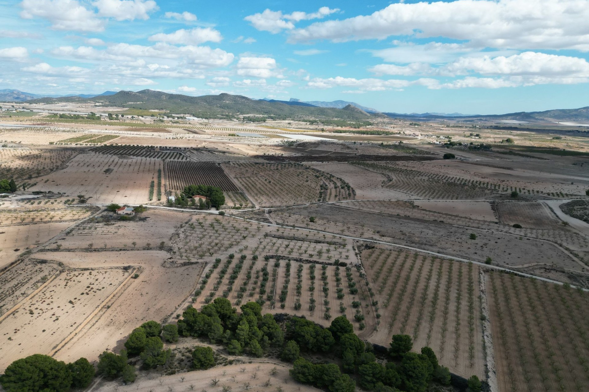 Herverkoop -  -
Pinoso