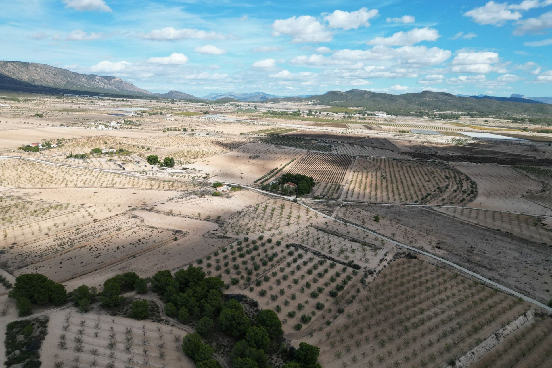 Herverkoop -  -
Pinoso