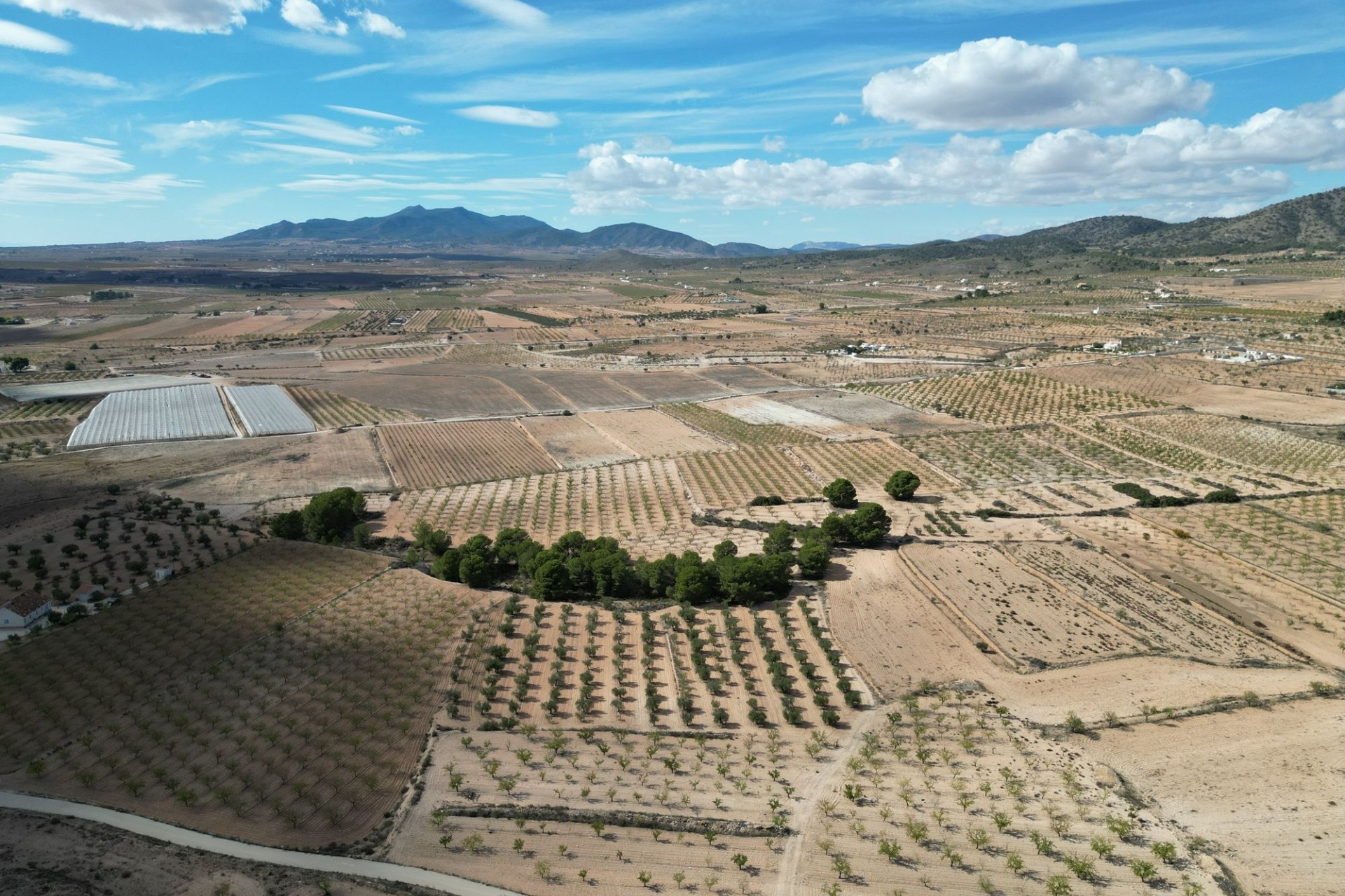 Herverkoop -  -
Pinoso