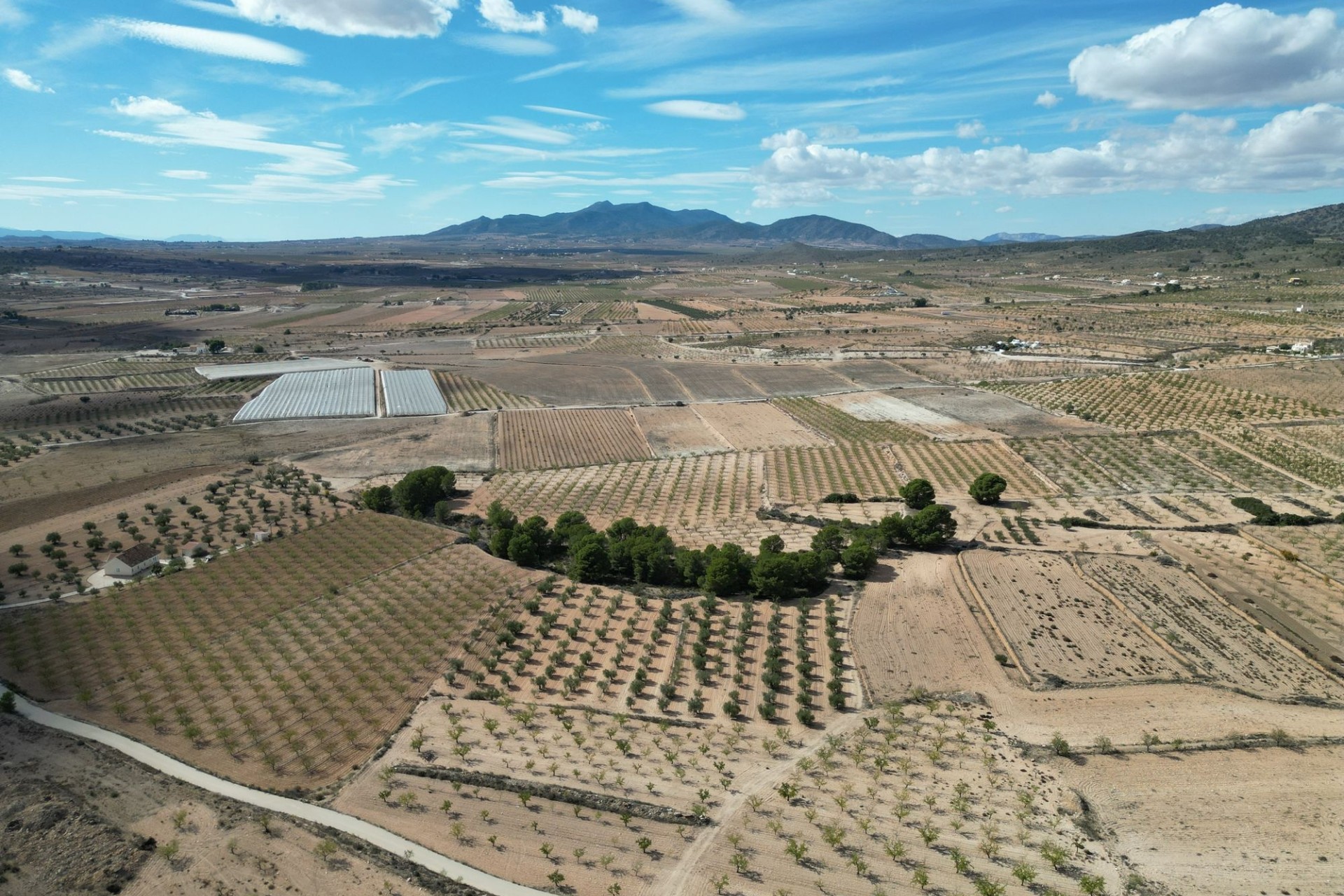 Herverkoop -  -
Pinoso