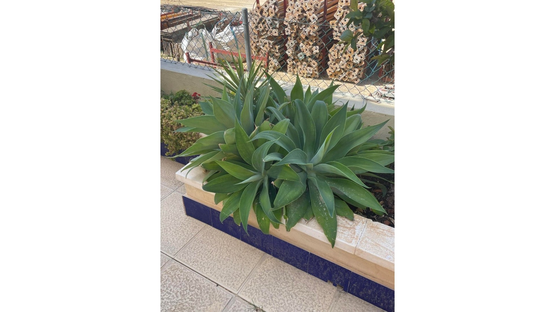 Herverkoop - Stadswoning -
Ciudad Quesada - Rojales - Ciudad Quesada