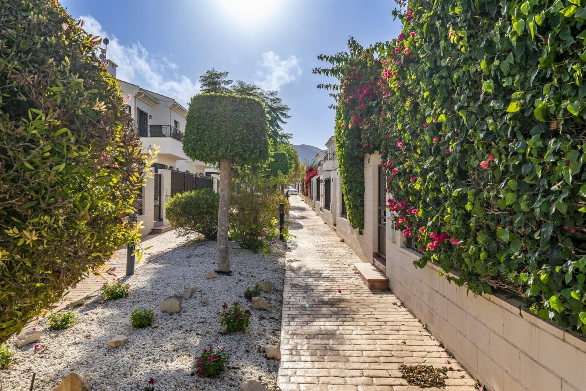 Herverkoop - Stadswoning -
SAN CAYETANO