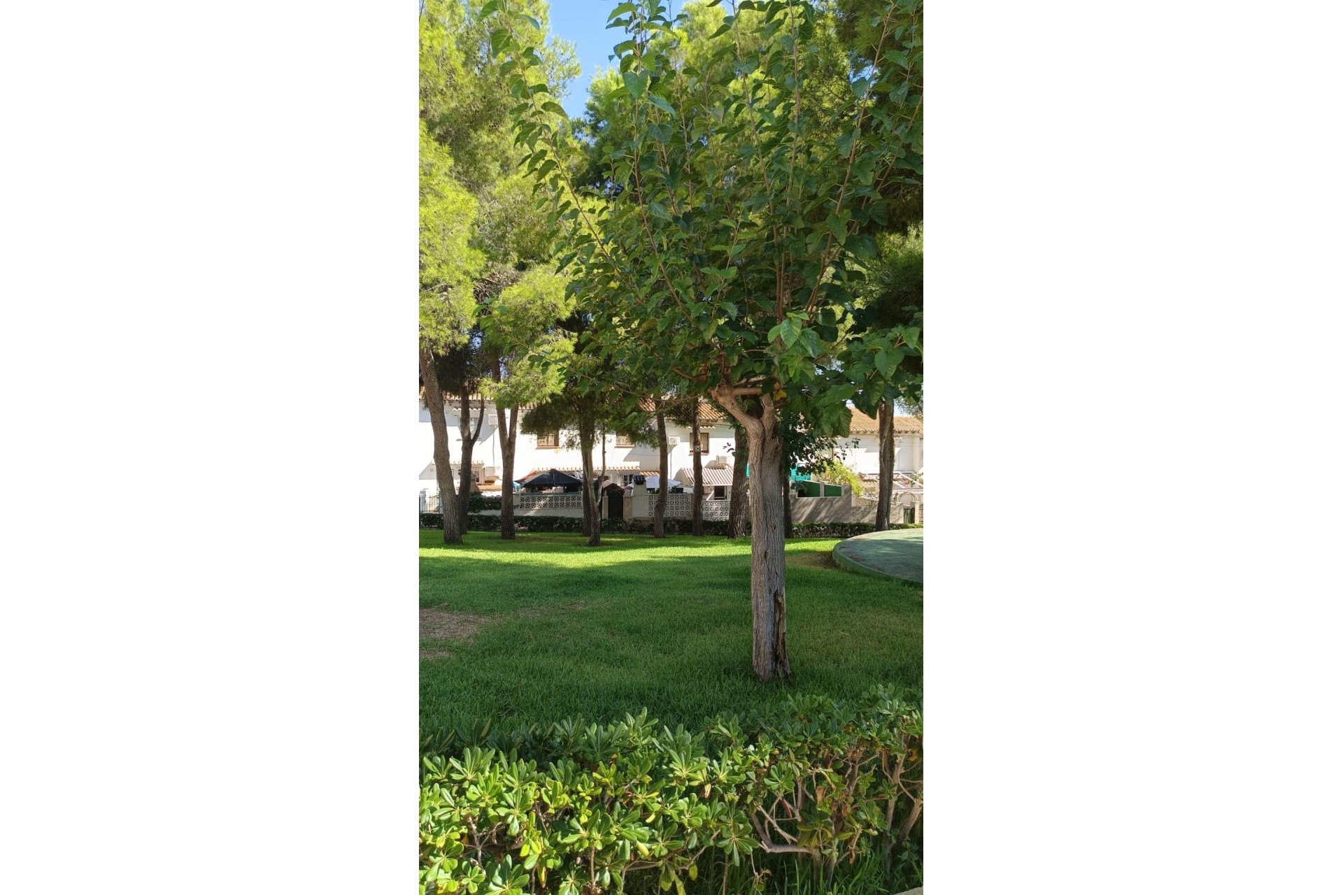 Herverkoop - Stadswoning -
Torrevieja - Los balcones