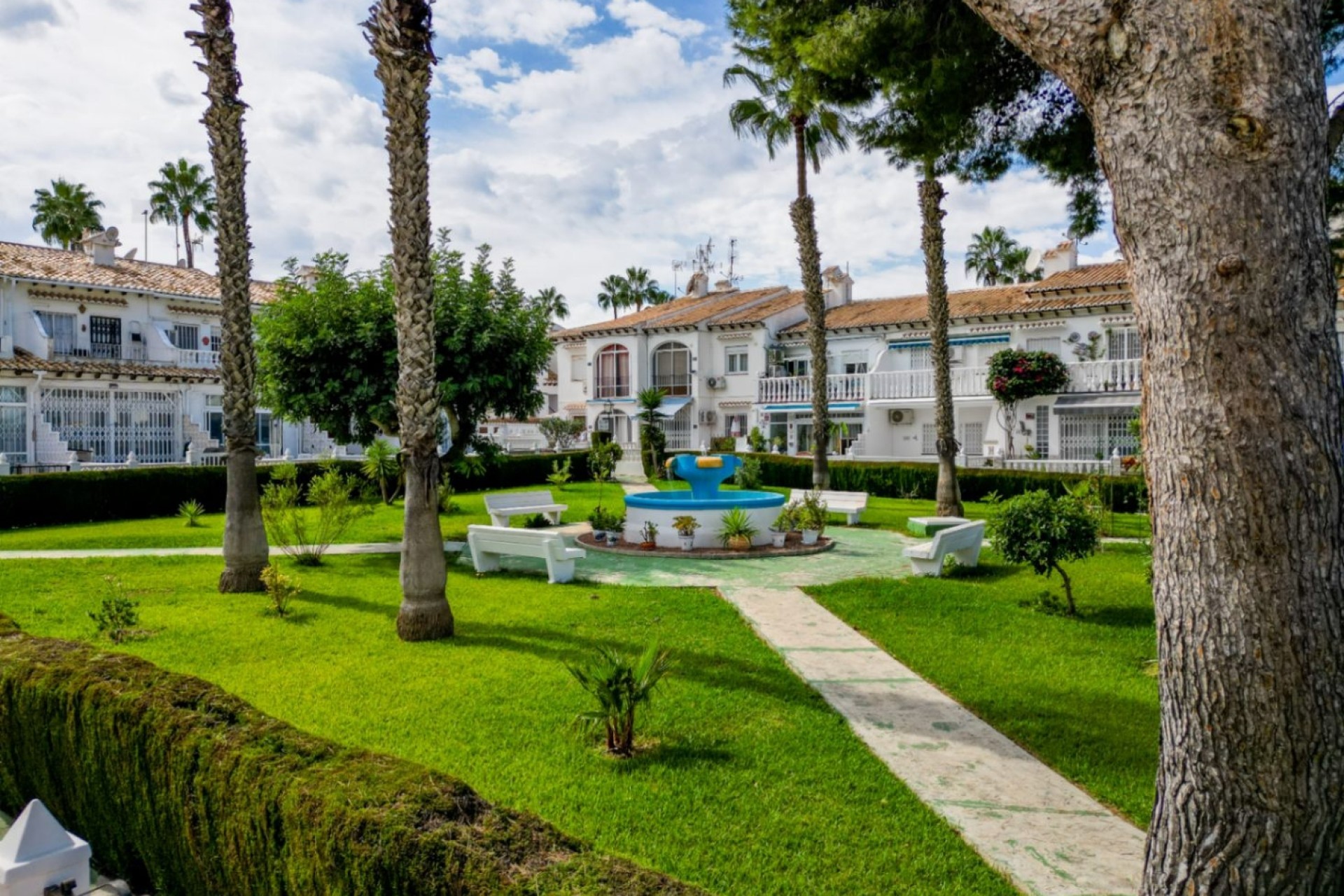 Herverkoop -  -
Torrevieja - Lago jardin