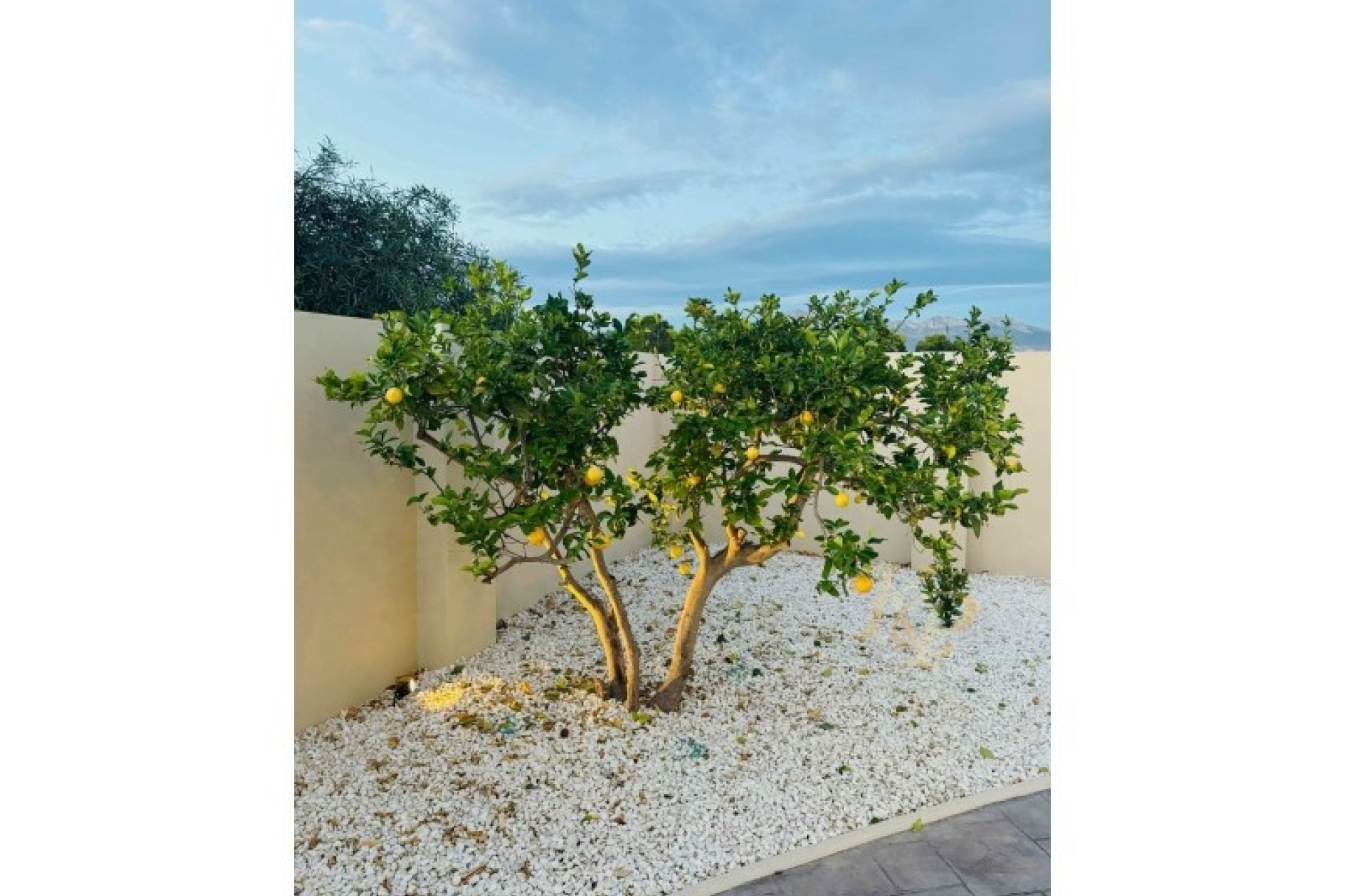 Herverkoop - Vrijstaande Villa -
Alfaz del Pi - Costa Blanca