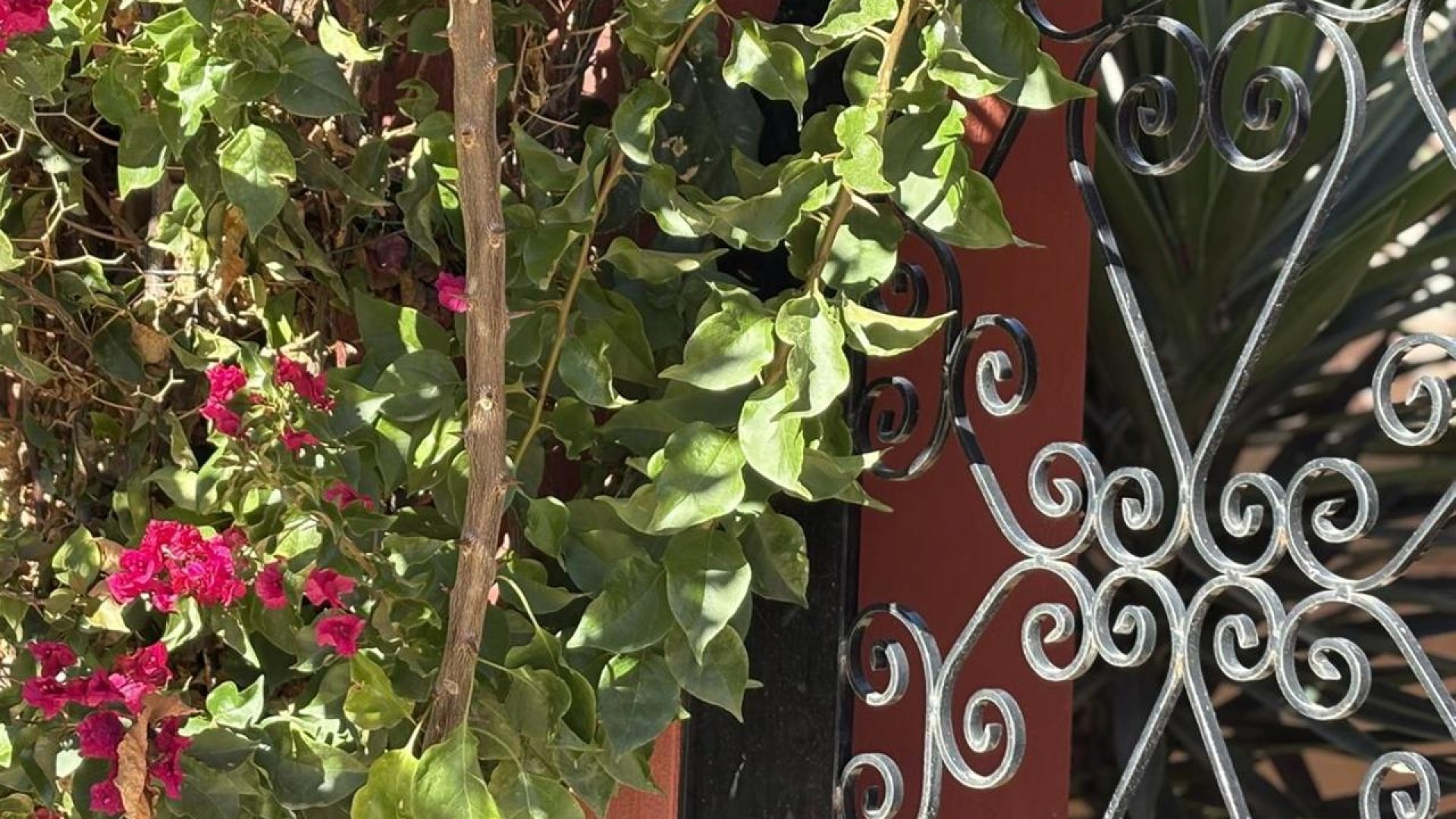 Herverkoop - Vrijstaande Villa -
Altaona Golf and Country Village