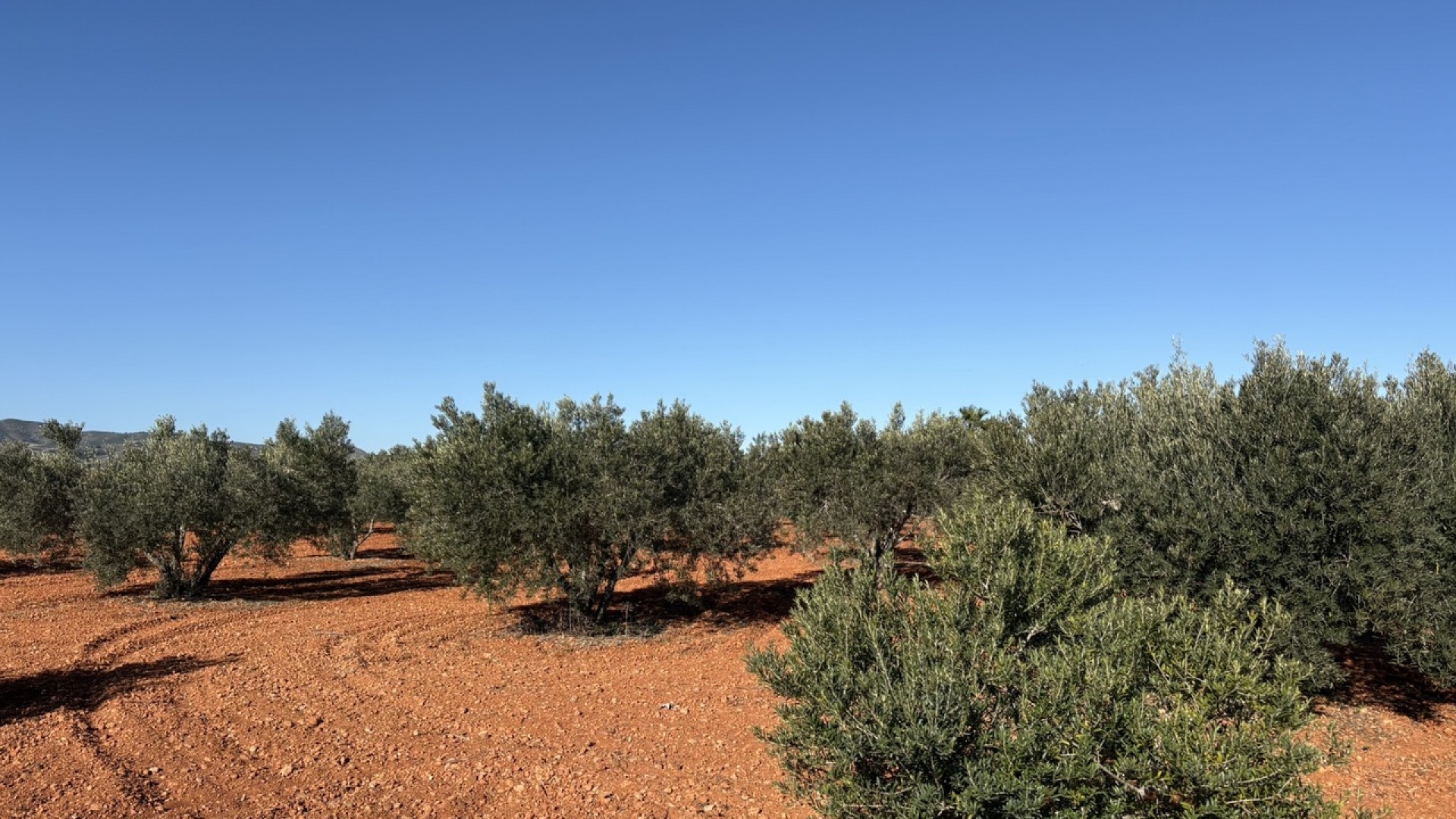 Herverkoop - Vrijstaande Villa -
Cartagena