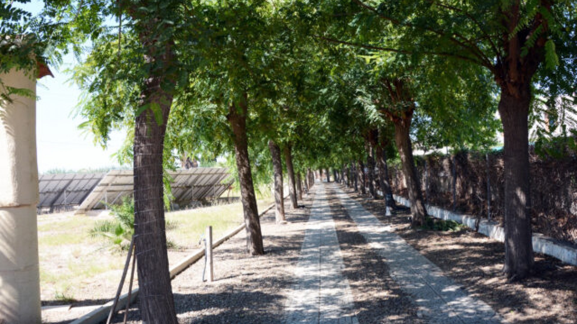 Herverkoop - Vrijstaande Villa -
Daya Vieja