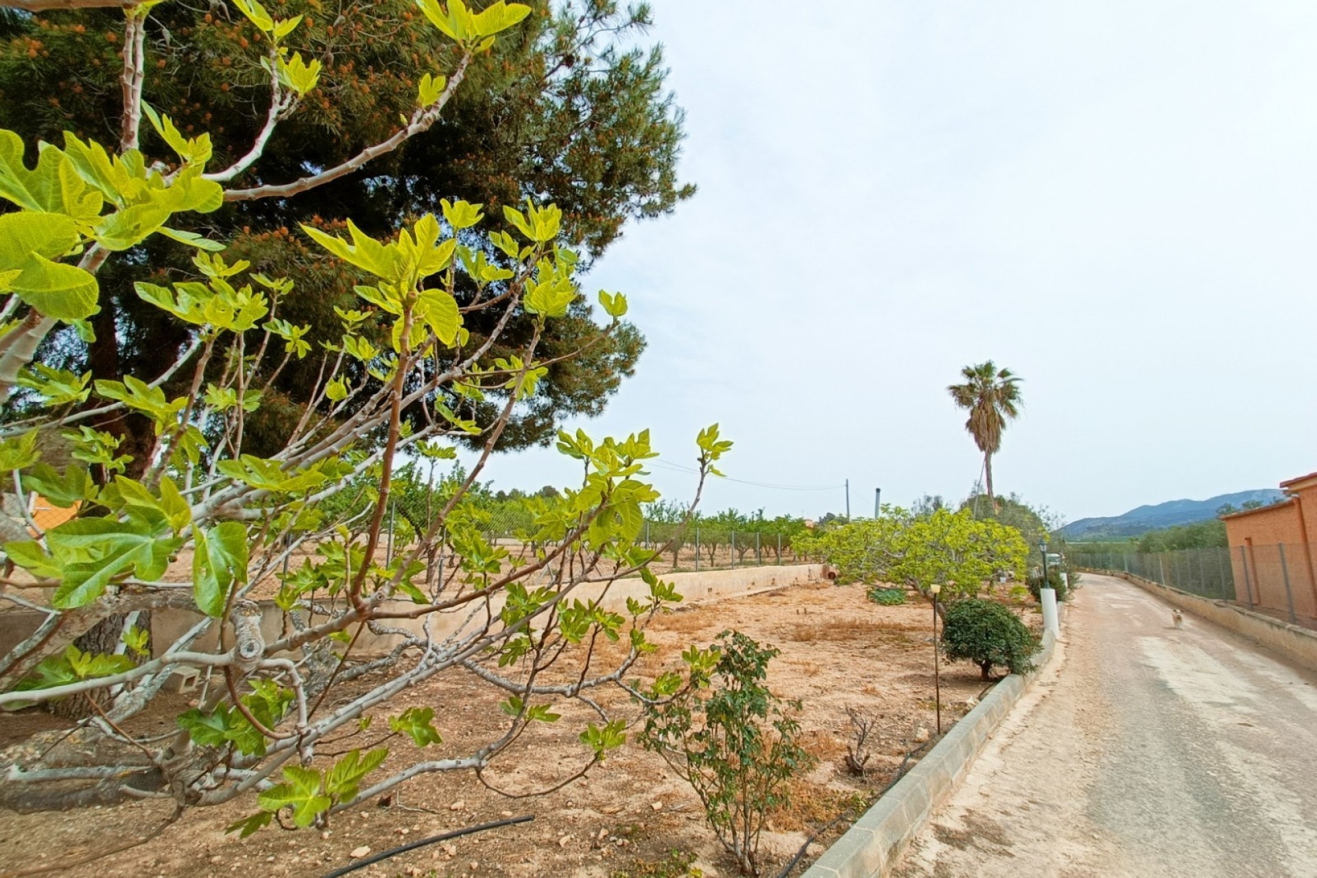 Herverkoop - Vrijstaande Villa -
Hondón de los Fráiles