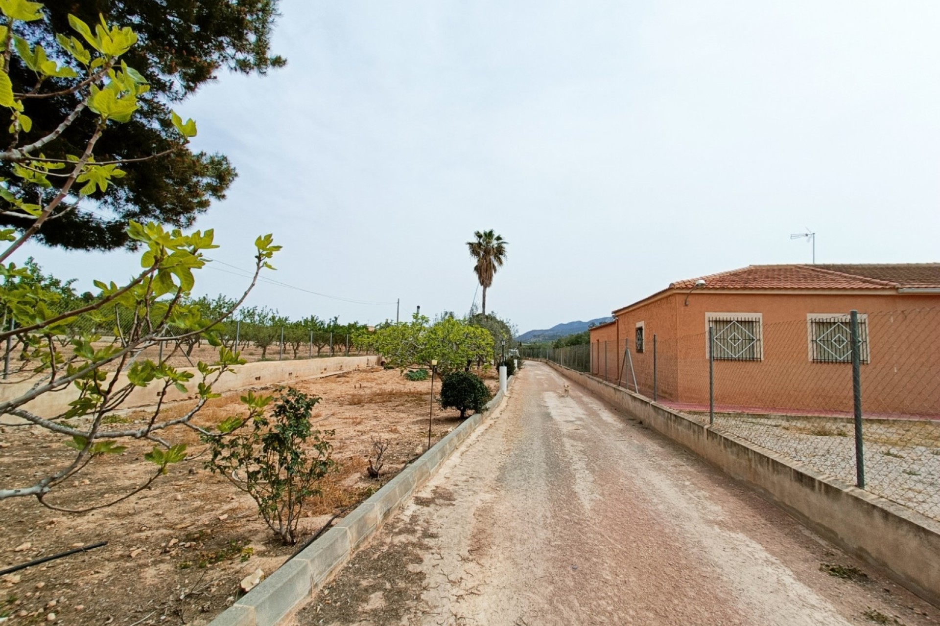 Herverkoop - Vrijstaande Villa -
Hondón de los Fráiles