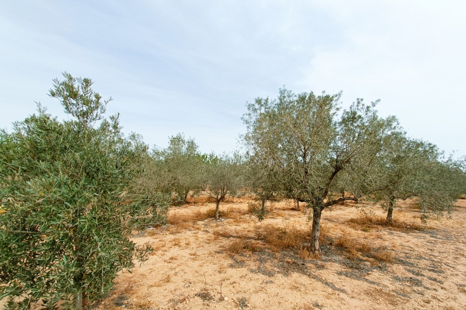 Herverkoop - Vrijstaande Villa -
Hondón de los Fráiles