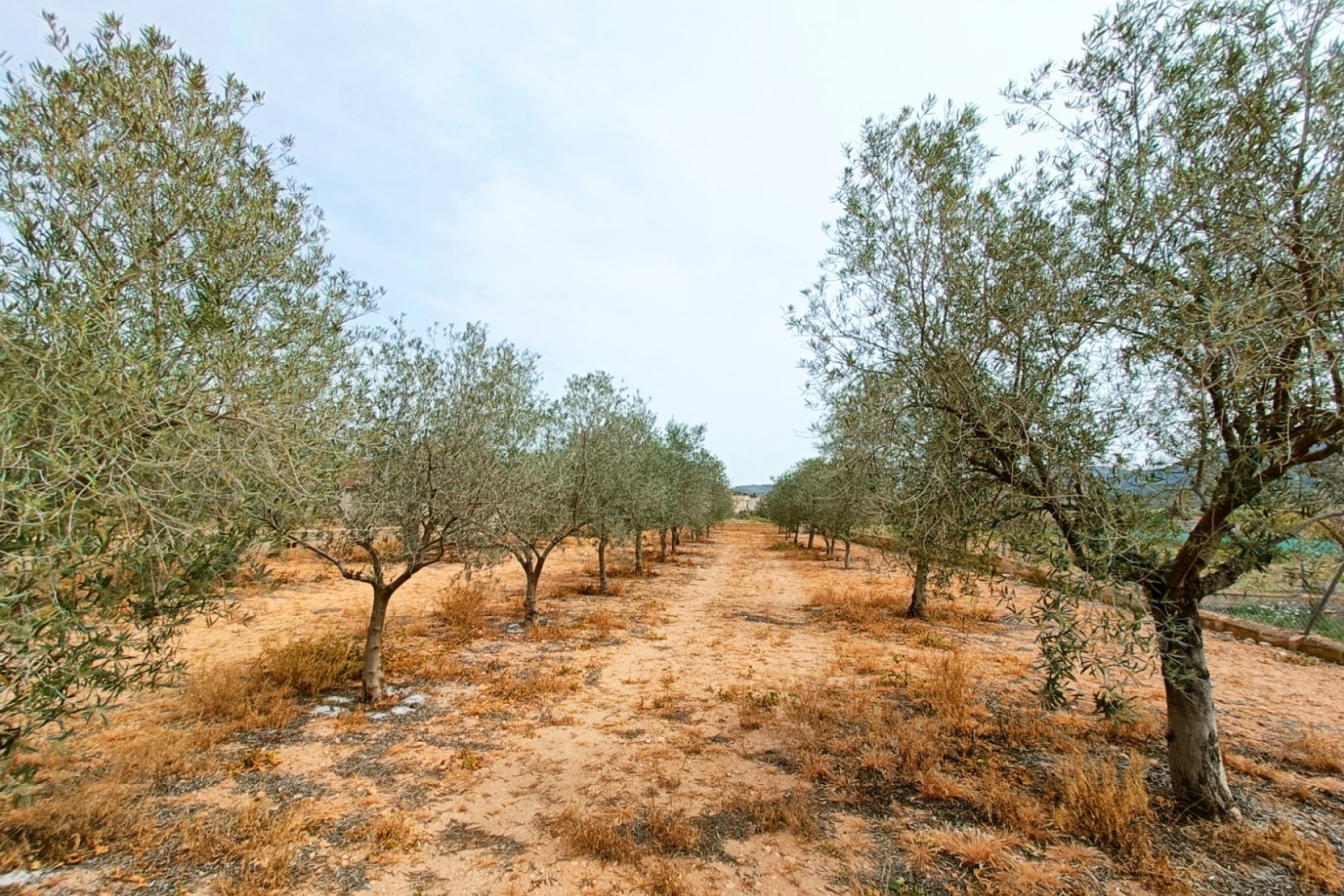 Herverkoop - Vrijstaande Villa -
Hondón de los Fráiles