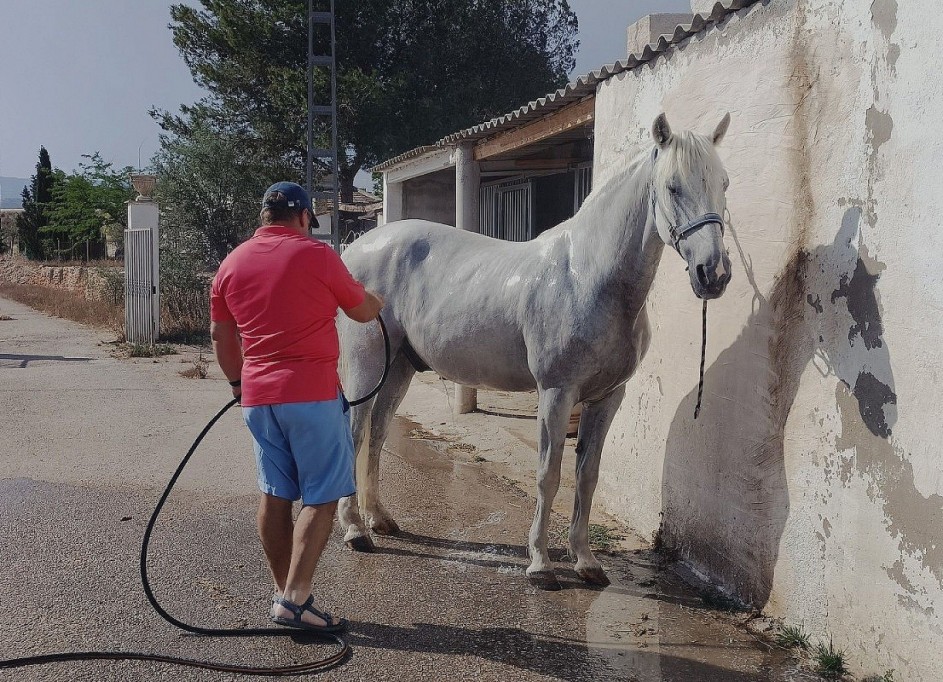 Herverkoop - Vrijstaande Villa -
Monóvar