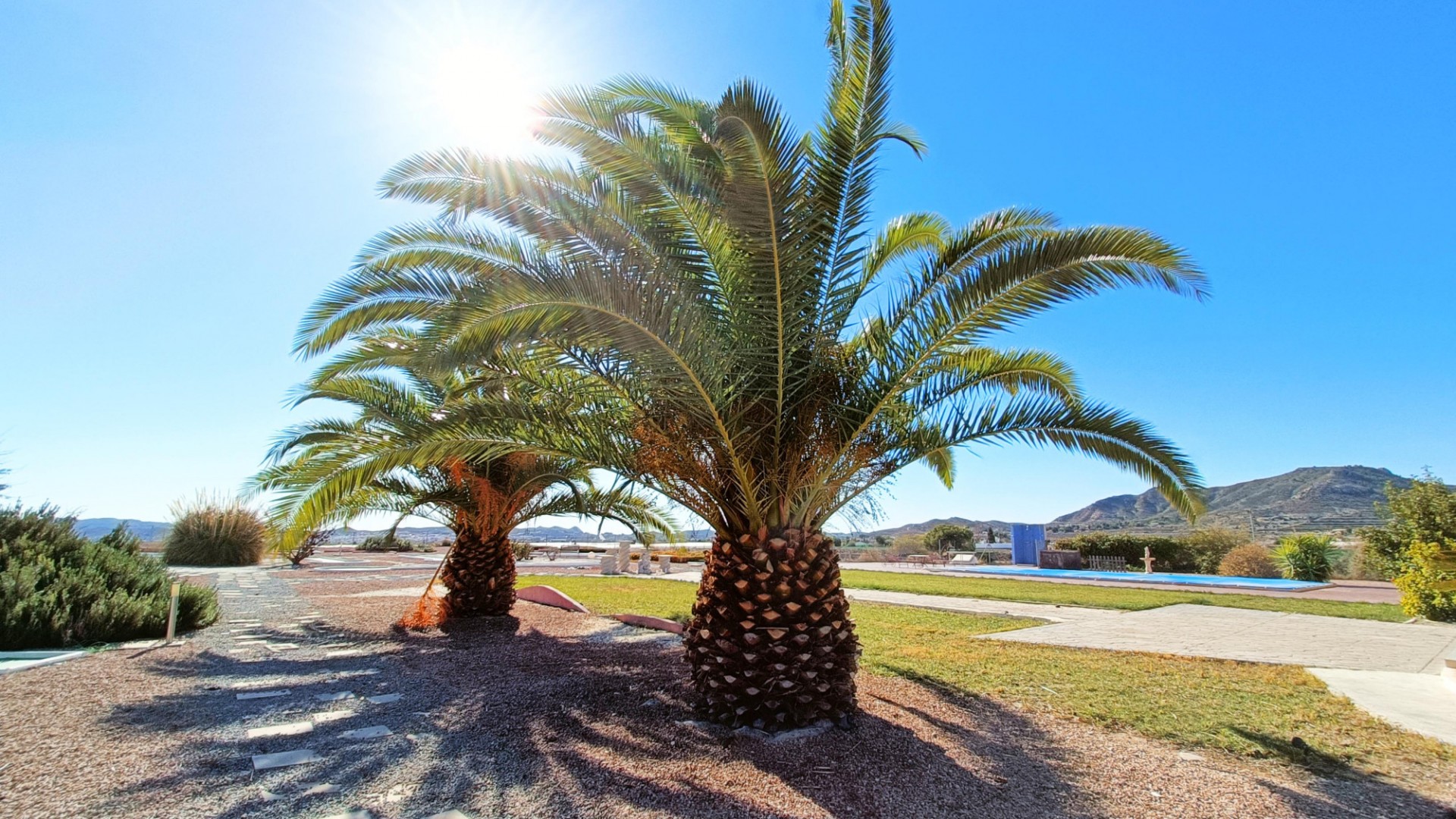 Herverkoop - Vrijstaande Villa -
Novelda