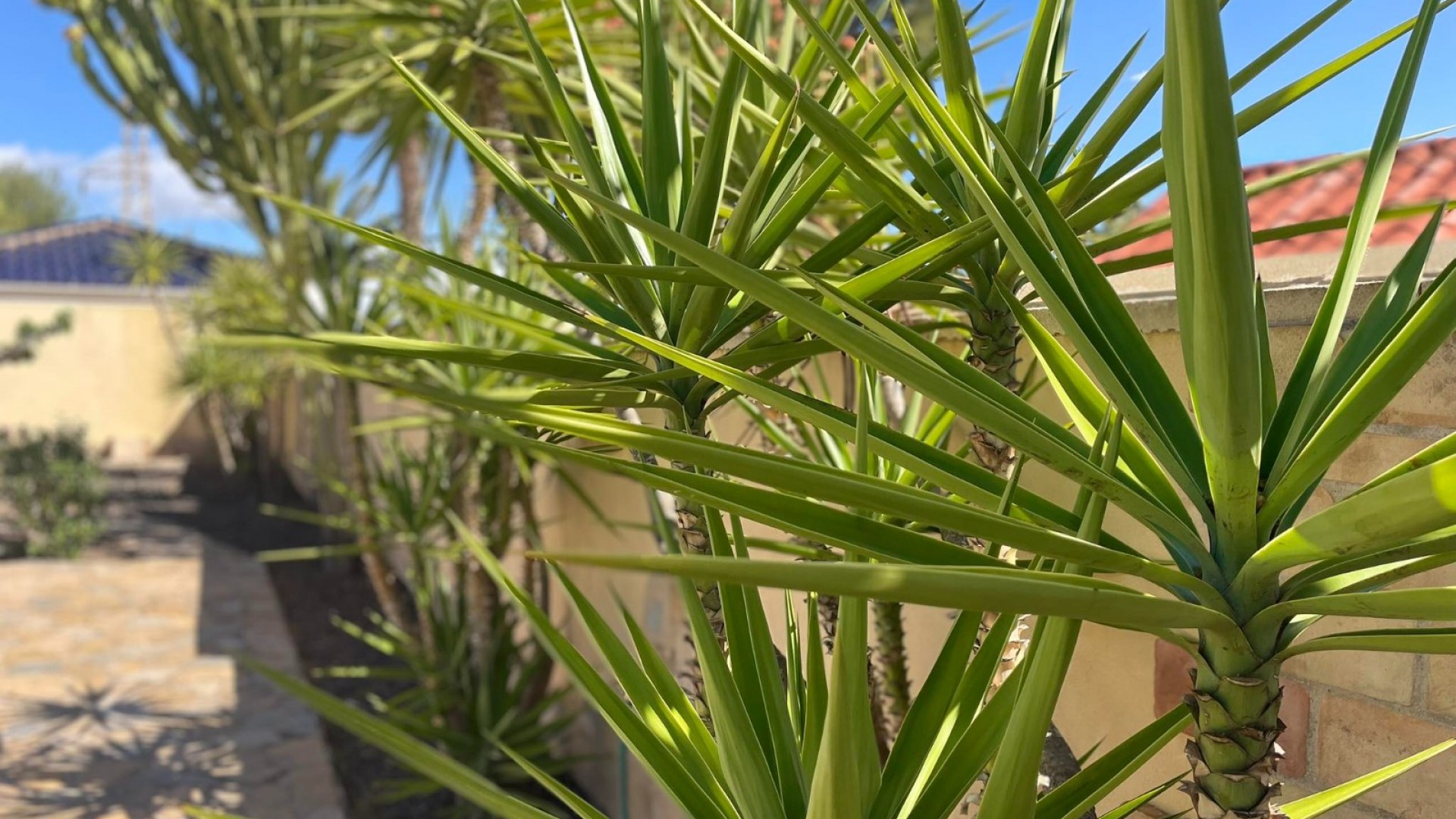 Herverkoop - Vrijstaande Villa -
Orihuela Costa - Villamartín